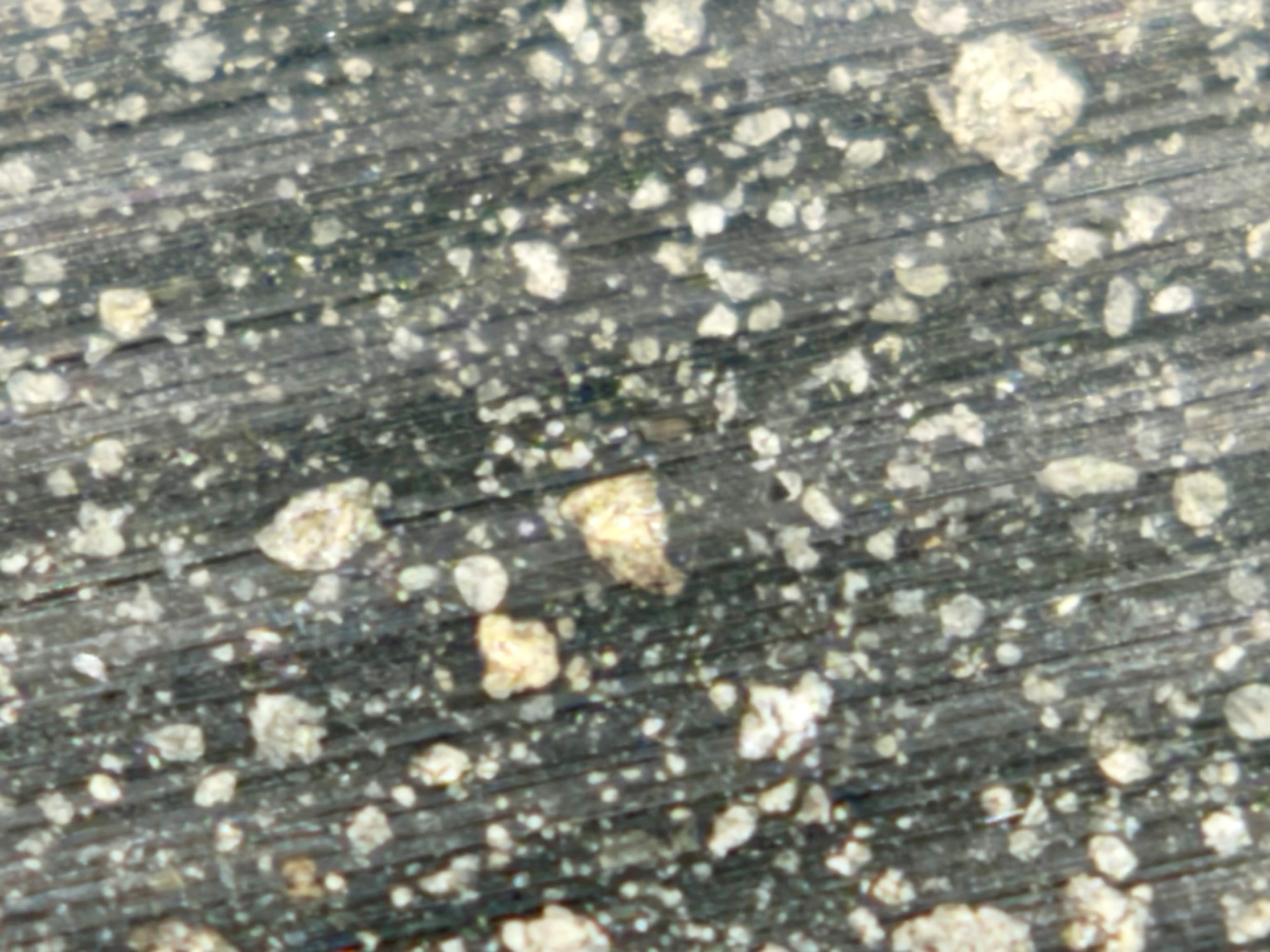 Alternate view of Murchison CM2 carbonaceous chondrite meteorite full slice
