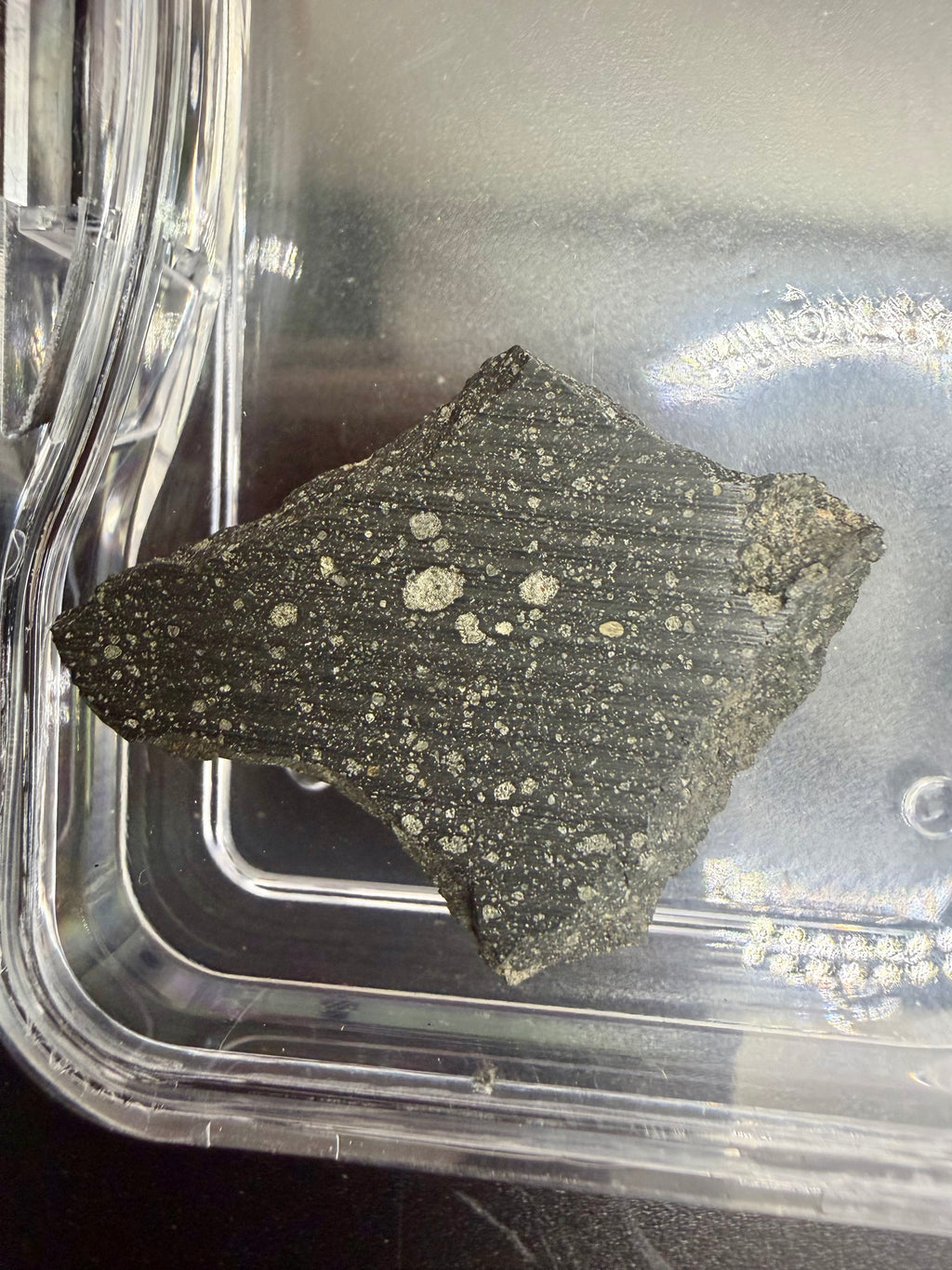 Murchison CM2 carbonaceous chondrite meteorite slice in labeled storage case

