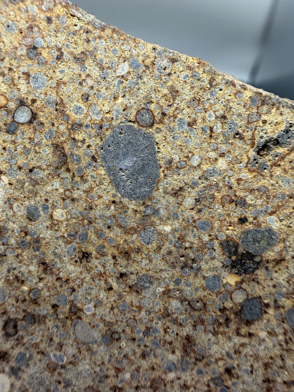 NWA 16120 LL3 chondrite 96.01g -- well-defined chondrule boundaries preserved in primitive type 3 matrix