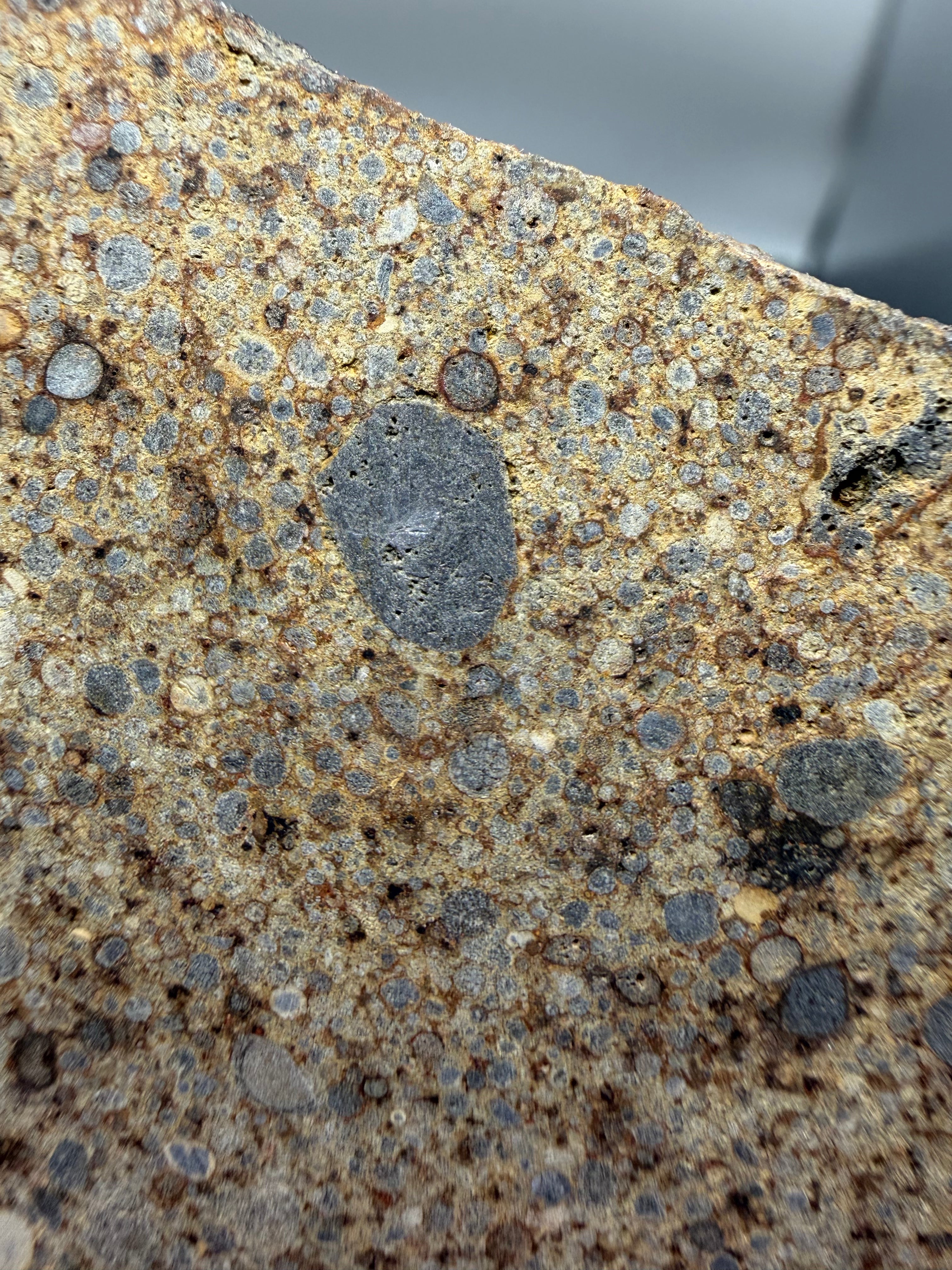 Close-up view of chondrules in NWA 16120 LL3 ordinary chondrite meteorite