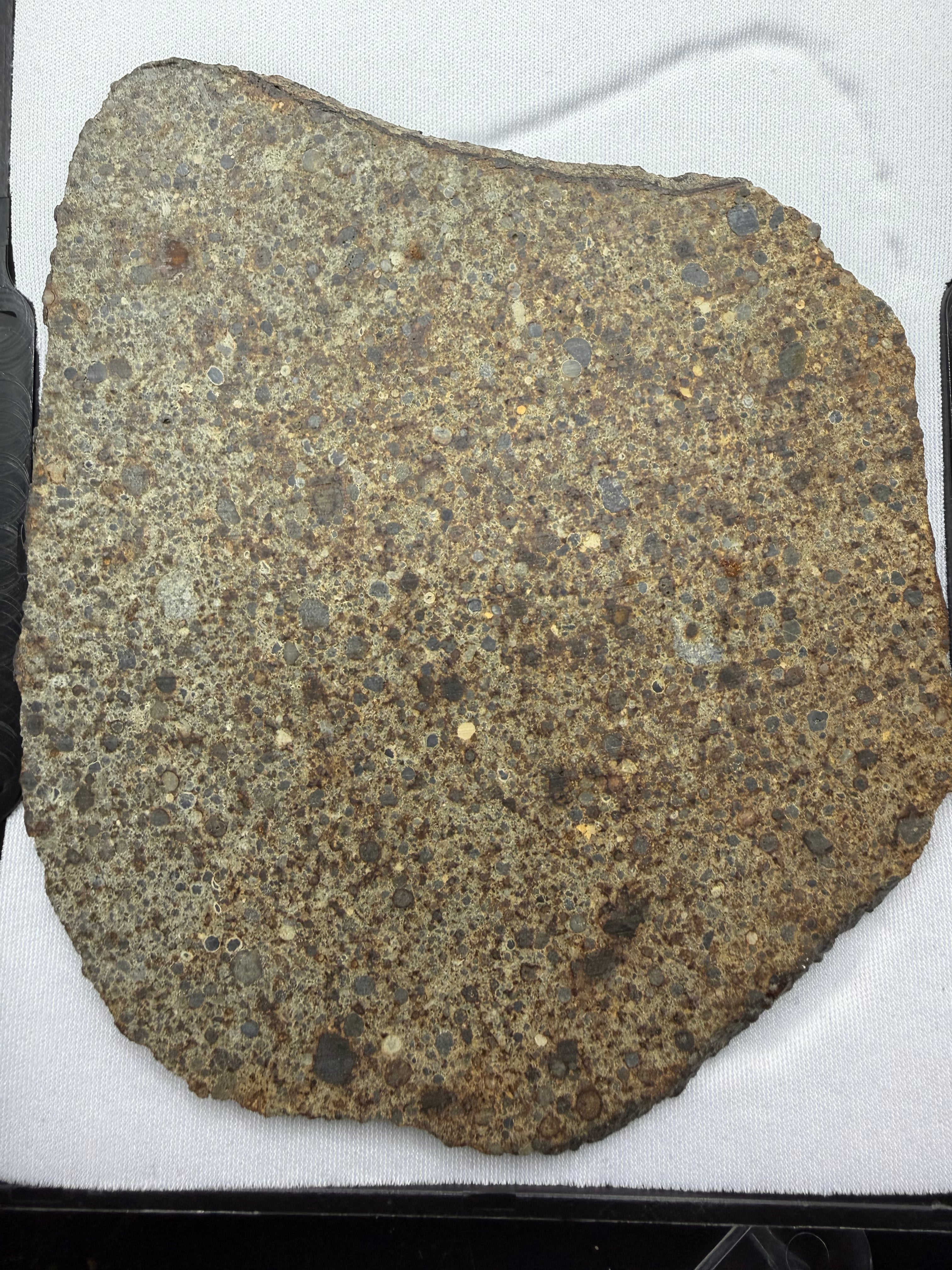 NWA 16120 ordinary chondrite 96.01g -- macroscopic view of type 3 petrologic features across full slice area