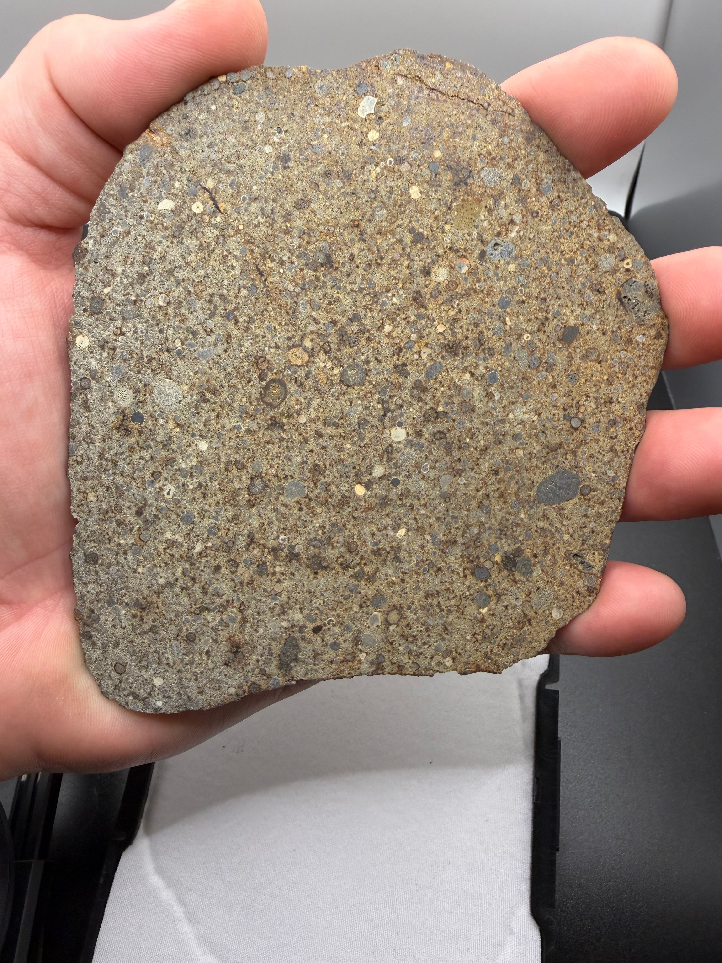 NWA 16120 LL3 specimen 96.01g -- edge profile revealing slice thickness and internal textural variations