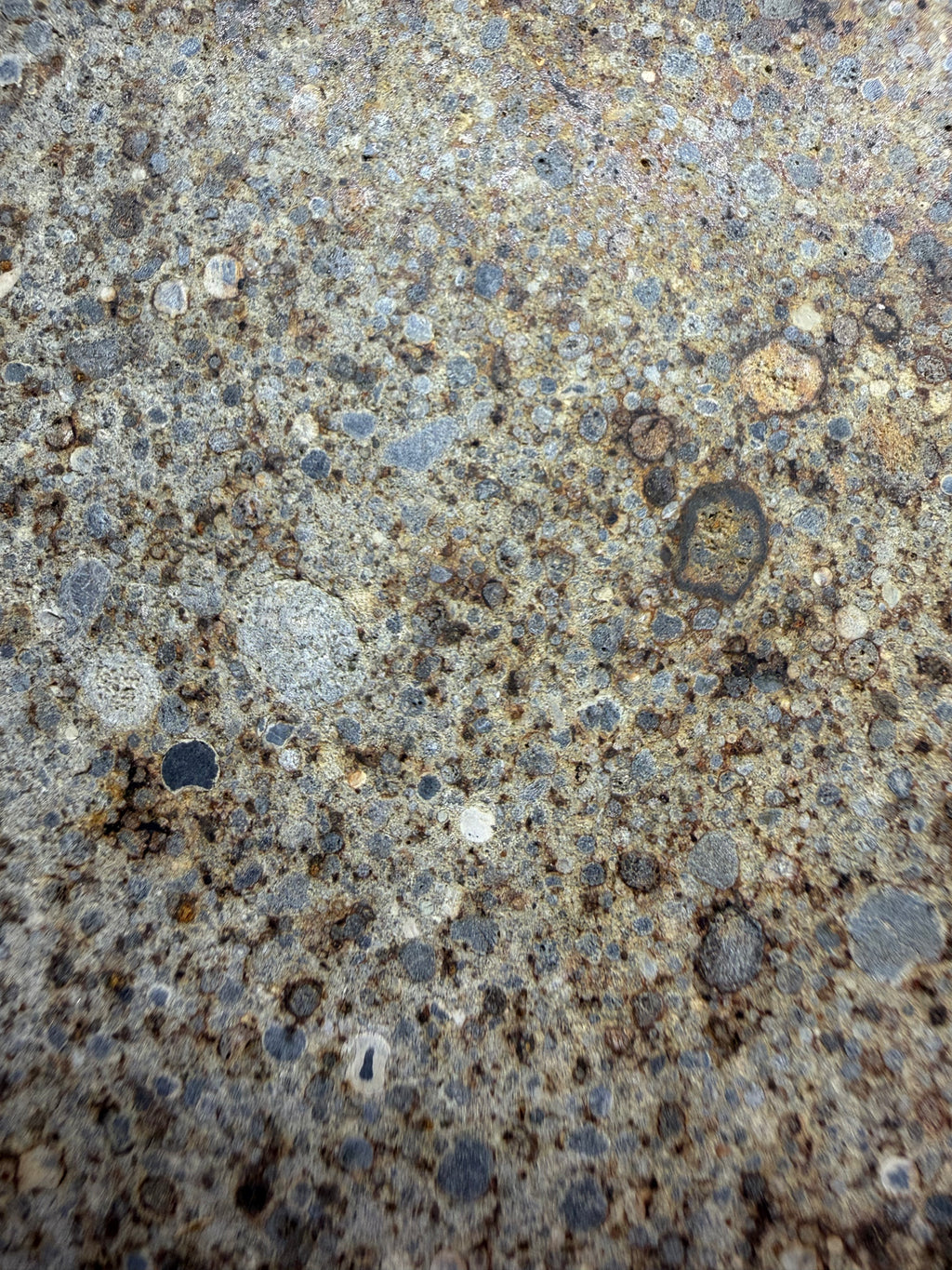 NWA 16120 chondrite slice 96.01g -- surface texture showing distinct chondrules embedded in fine-grained matrix