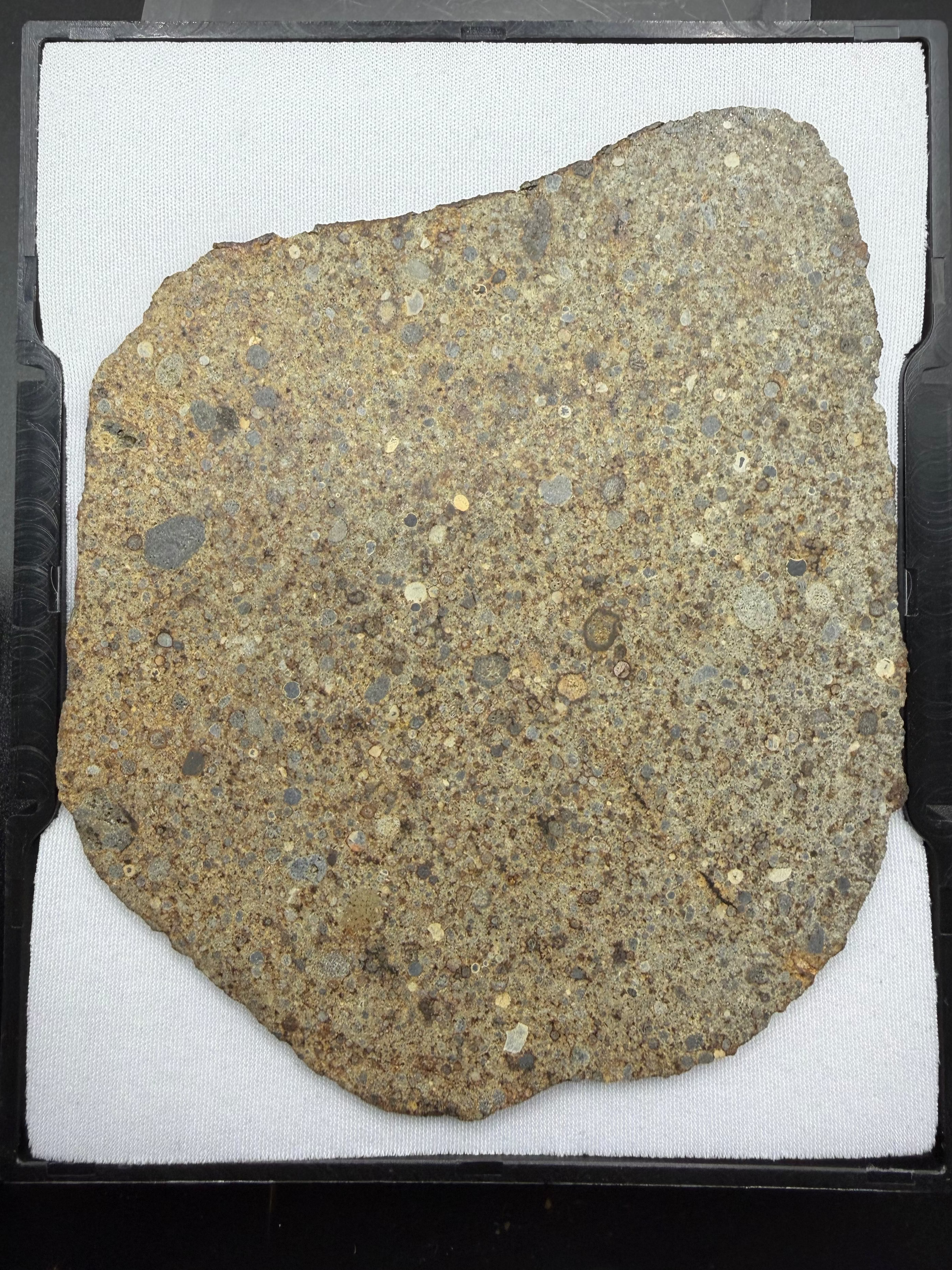 Slice of NWA 16120 LL3 ordinary chondrite meteorite displayed in GemBox case