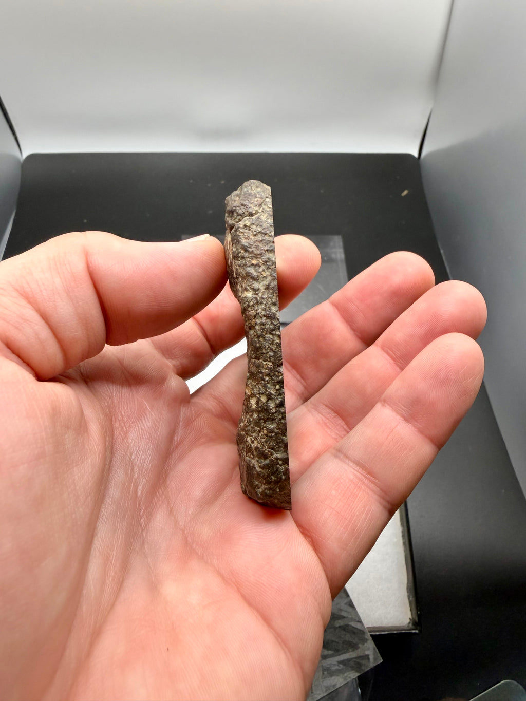 Edge profile showing thickness of NWA 16975 LL3 ordinary chondrite end-cut slice