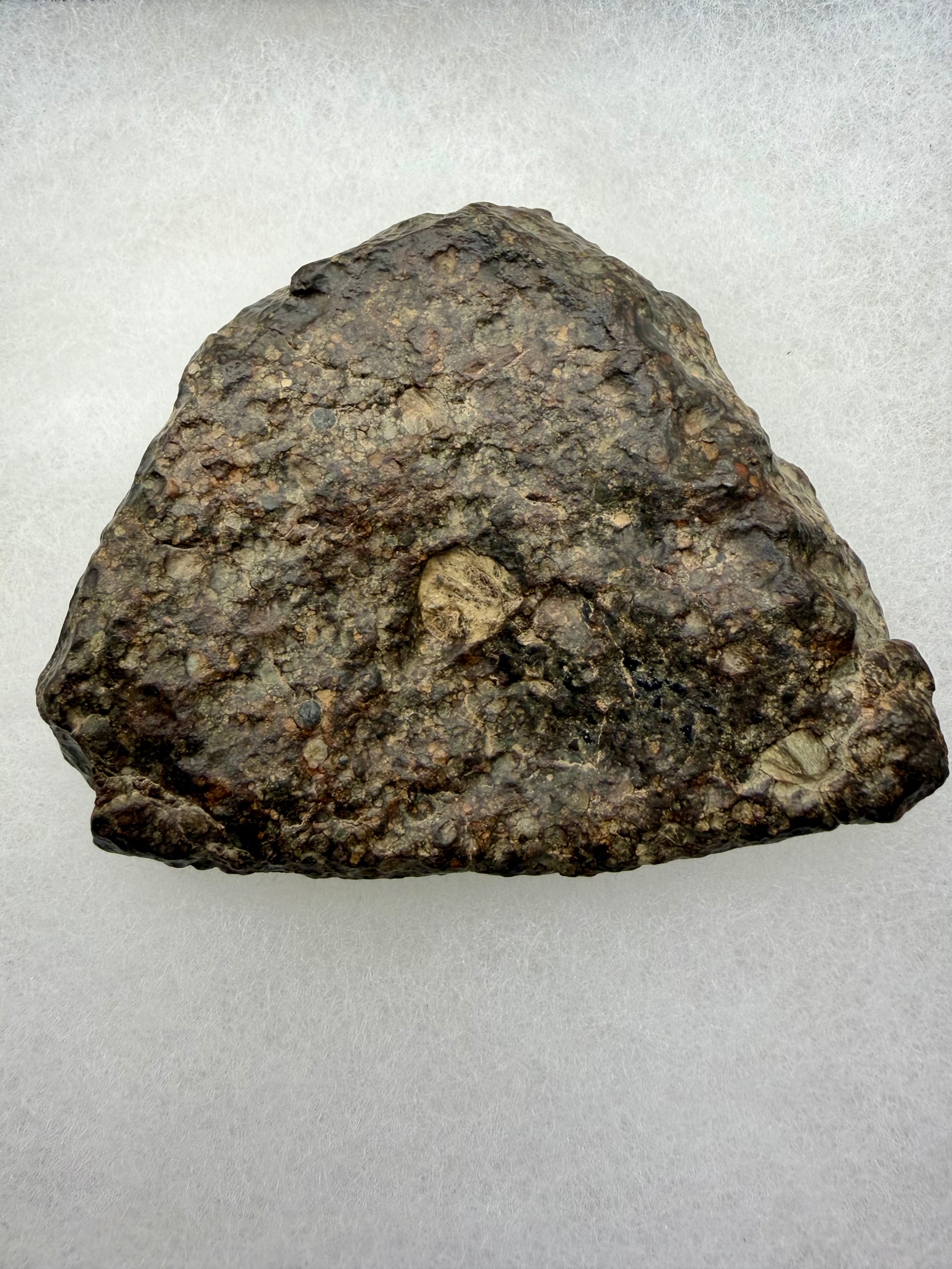 Exterior surface of NWA 16975 LL3 ordinary chondrite meteorite showing natural texture