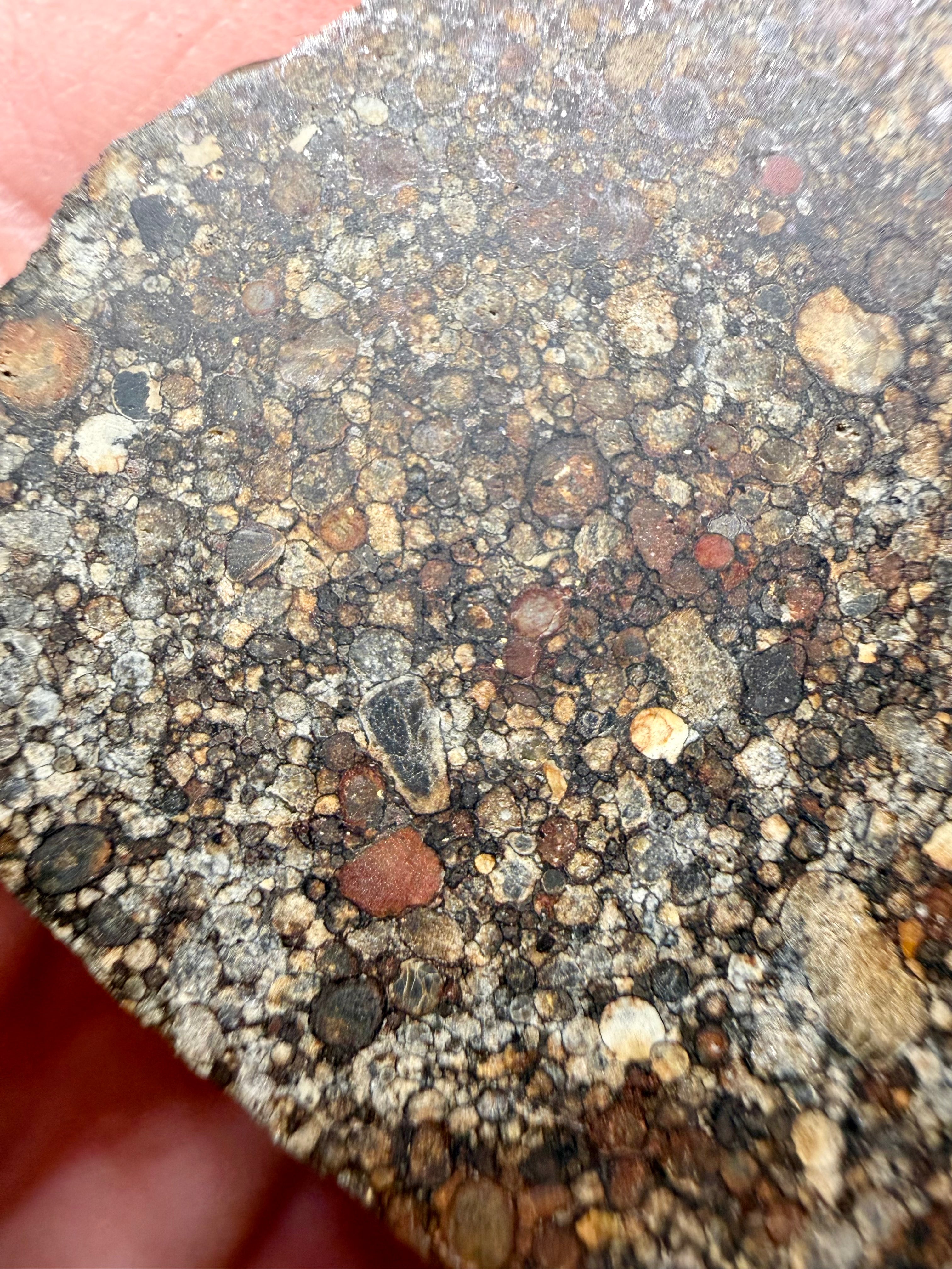 Macro detail of primitive matrix in NWA 16975 LL3 ordinary chondrite meteorite