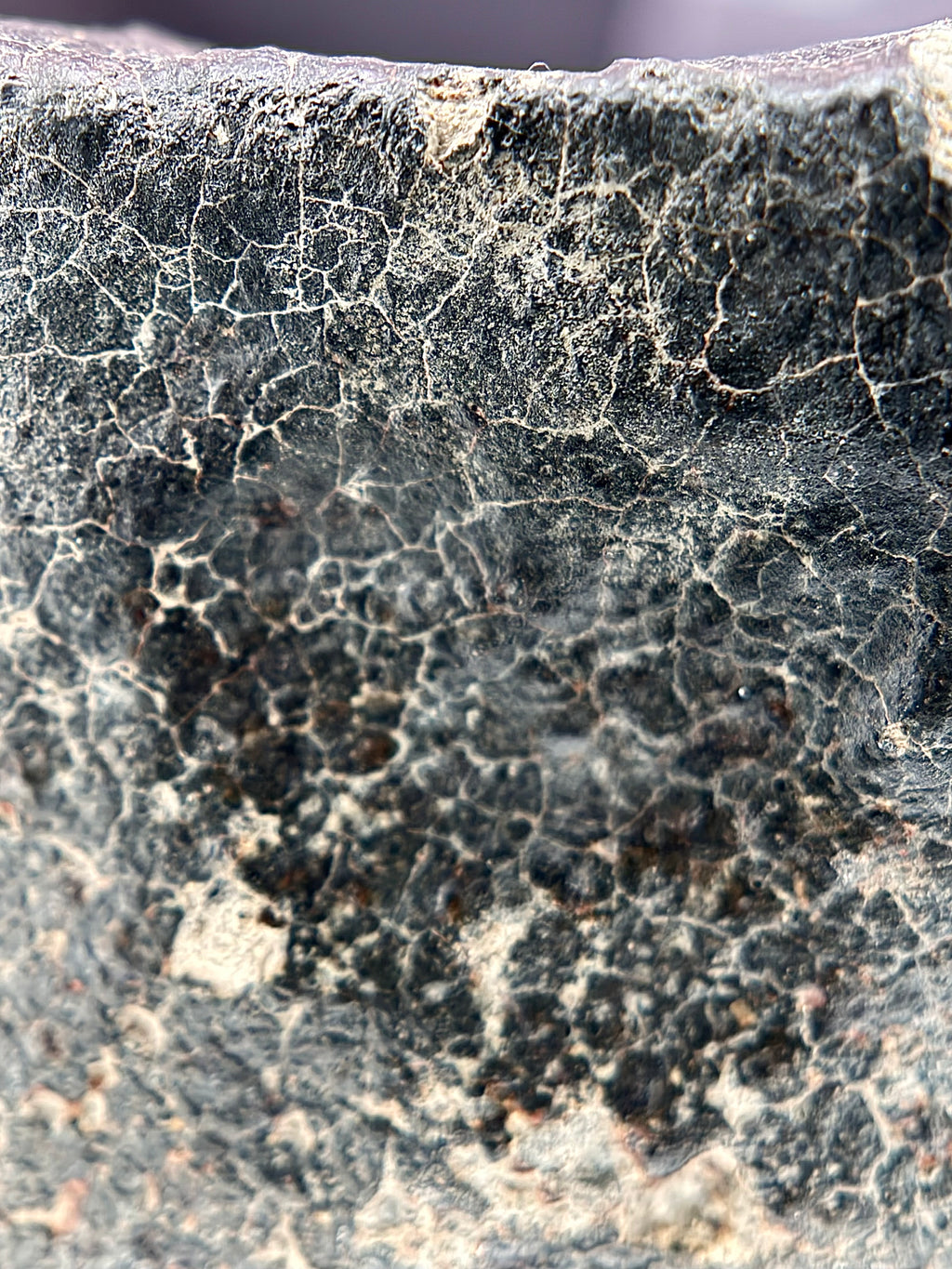 Extreme macro of NWA 17296 L5 Ordinary Chondrite Meteorite fusion crust showing dense contraction crack network from rapid atmospheric cooling, 1472.00g