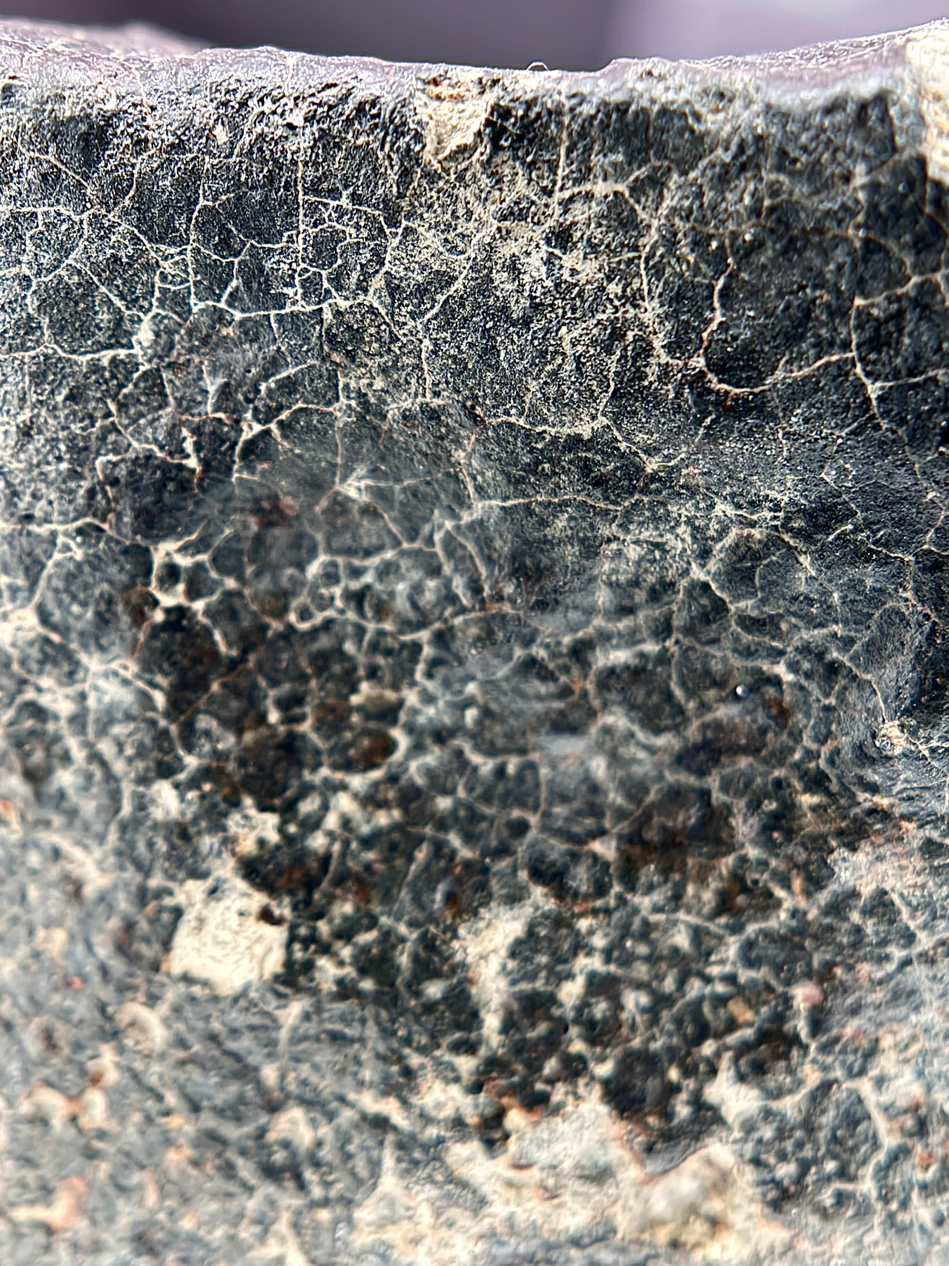 Extreme macro of NWA 17296 L5 Ordinary Chondrite Meteorite fusion crust showing dense contraction crack network from rapid atmospheric cooling, 1472.00g