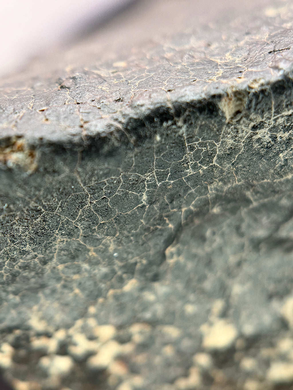 Macro photo of NWA 17296 L5 Ordinary Chondrite Meteorite showing fresh black fusion crust with contraction crack network from atmospheric ablation, 1472.00g