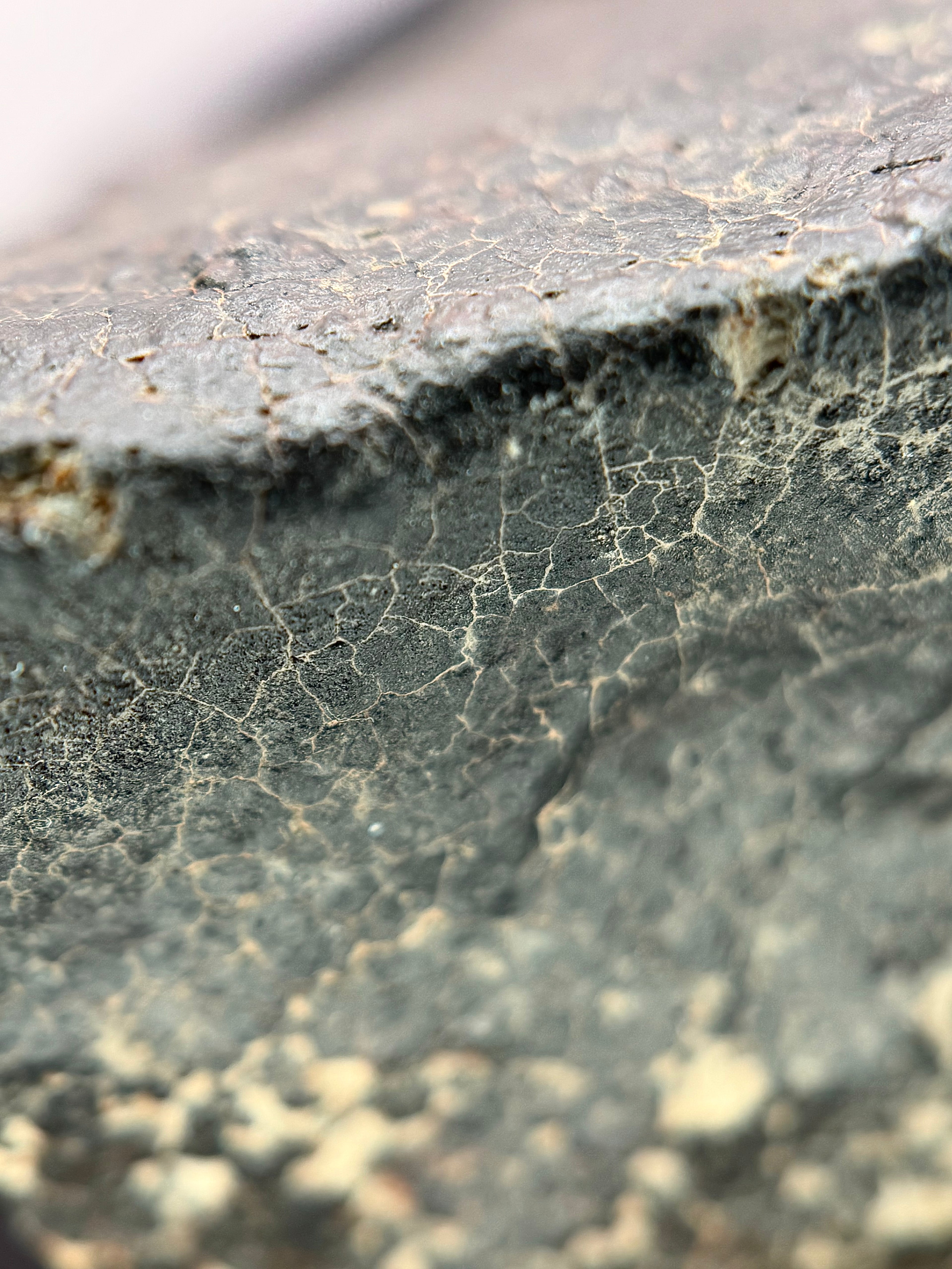 Macro photo of NWA 17296 L5 Ordinary Chondrite Meteorite showing fresh black fusion crust with contraction crack network from atmospheric ablation, 1472.00g