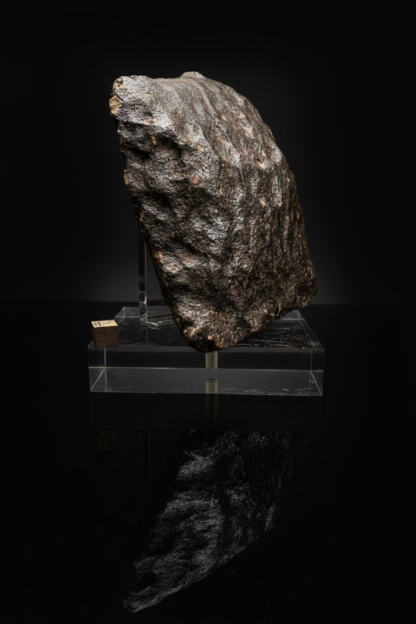 Side view of NWA 17296 L5 Ordinary Chondrite Meteorite showing complete oriented stone with small cut window exposing chondrule structure in L5 matrix, 1472.00g