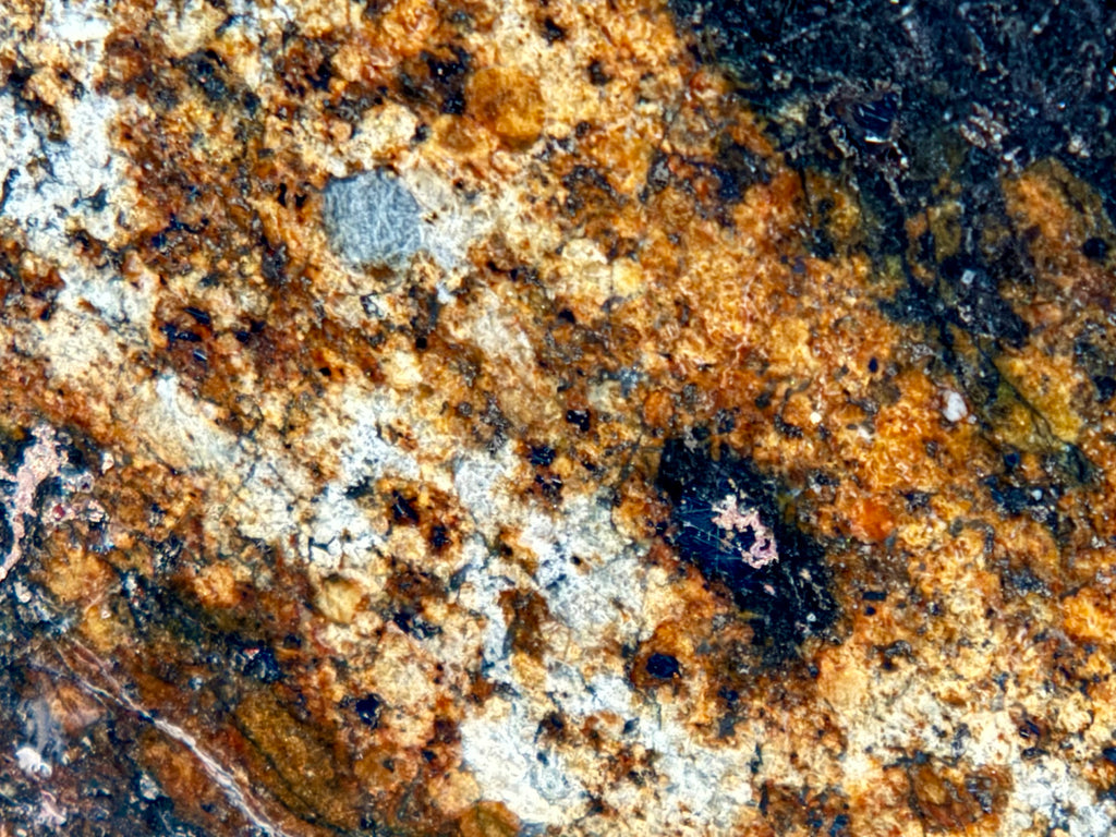 Macro photo of NWA 17298 L6 Ordinary Chondrite Meteorite showing chondrule boundaries and dark shock melt veins in recrystallized type 6 matrix, 209.51g