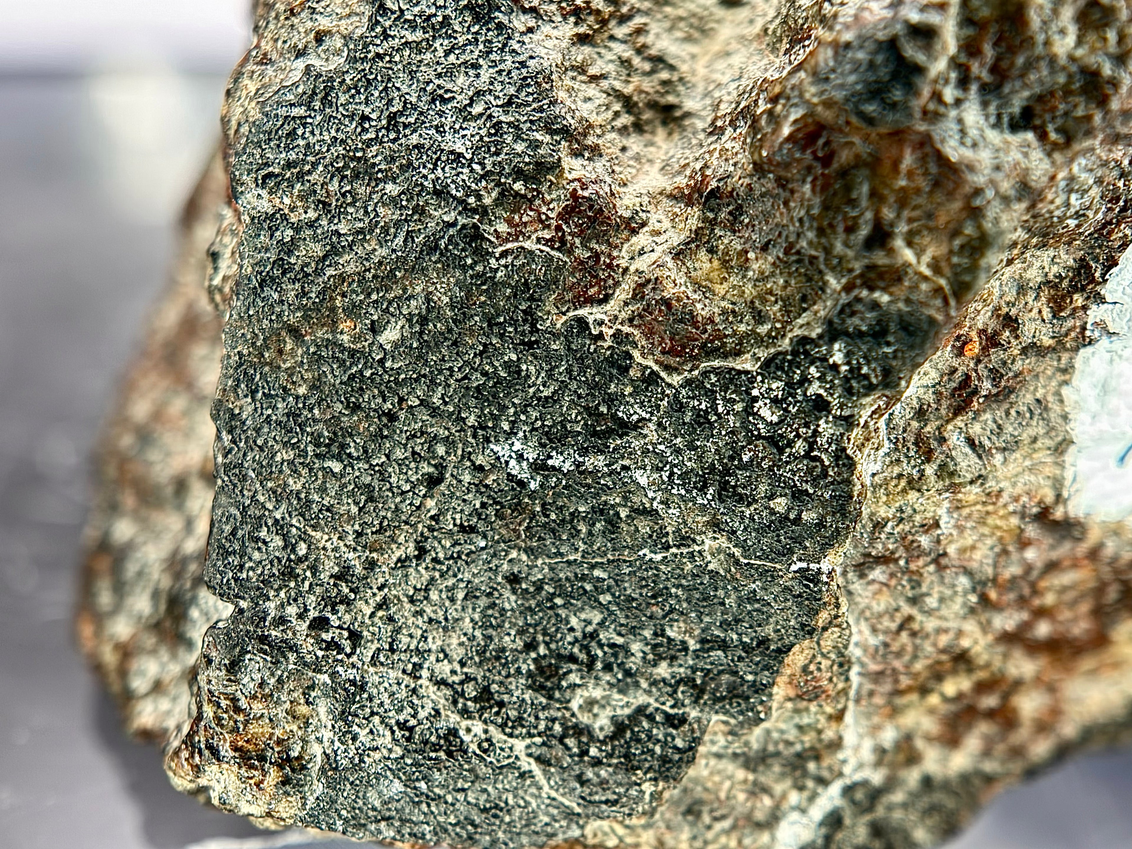 Macro photo of NWA 17298 L6 Ordinary Chondrite Meteorite showing recrystallized chondritic matrix with dark shock melt veins across polished cut surface, 209.51g