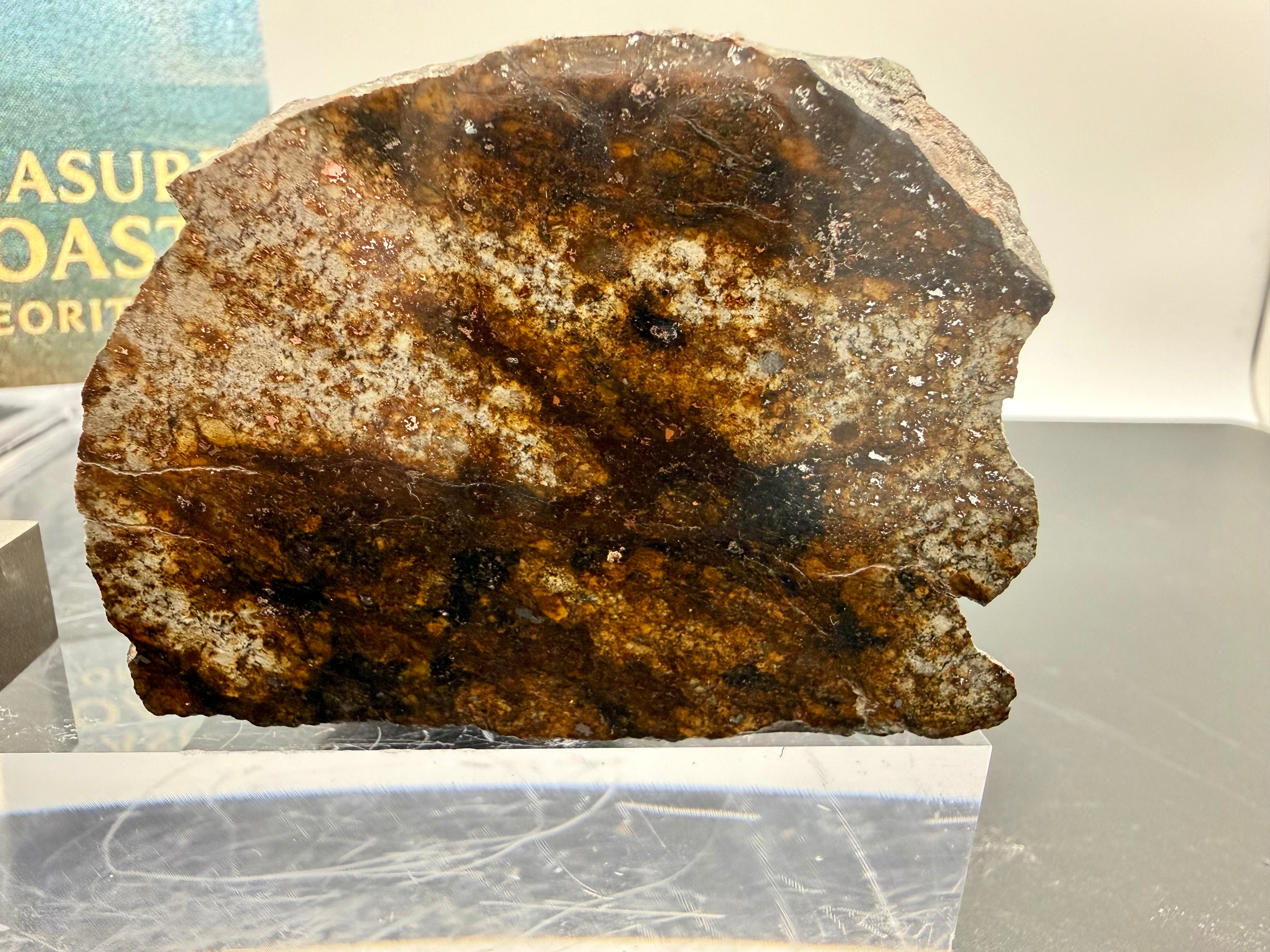 Oblique view of NWA 17298 L6 Ordinary Chondrite Meteorite showing polished cut face with shock veins and natural fusion crust exterior edge, 209.51g