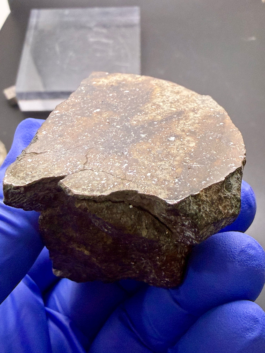 Hand-held view of NWA 17298 L6 Ordinary Chondrite Meteorite showing polished cut face under angled lighting revealing shock vein relief and surface texture variations, 209.51g