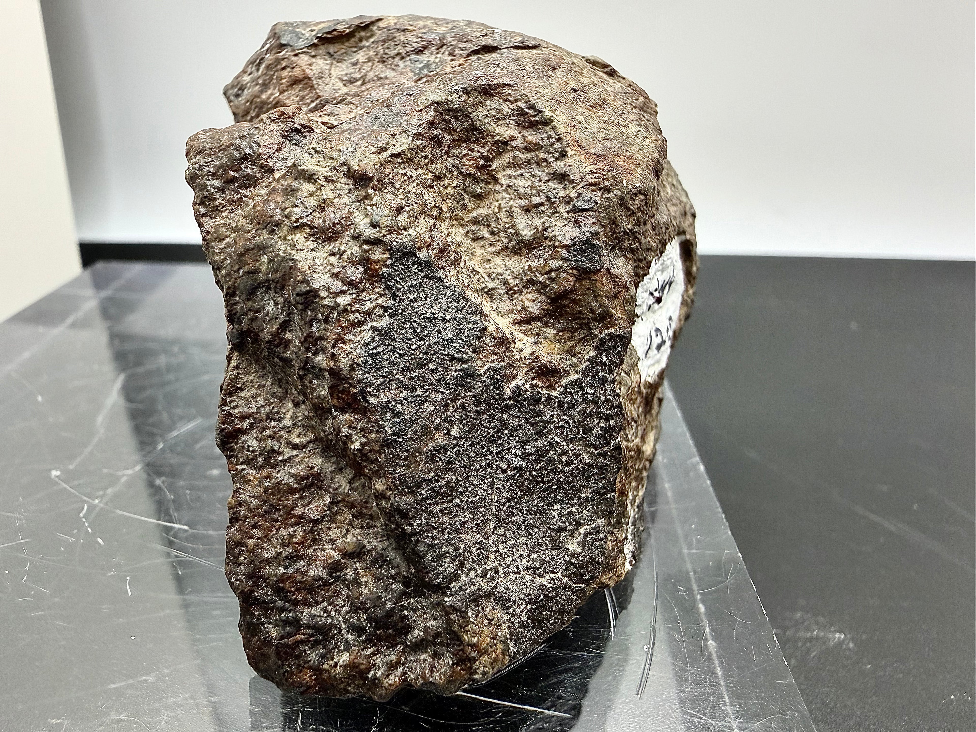 Side view of NWA 17298 L6 Ordinary Chondrite Meteorite showing partial fusion crust exterior and cut face profile with specimen label, 209.51g