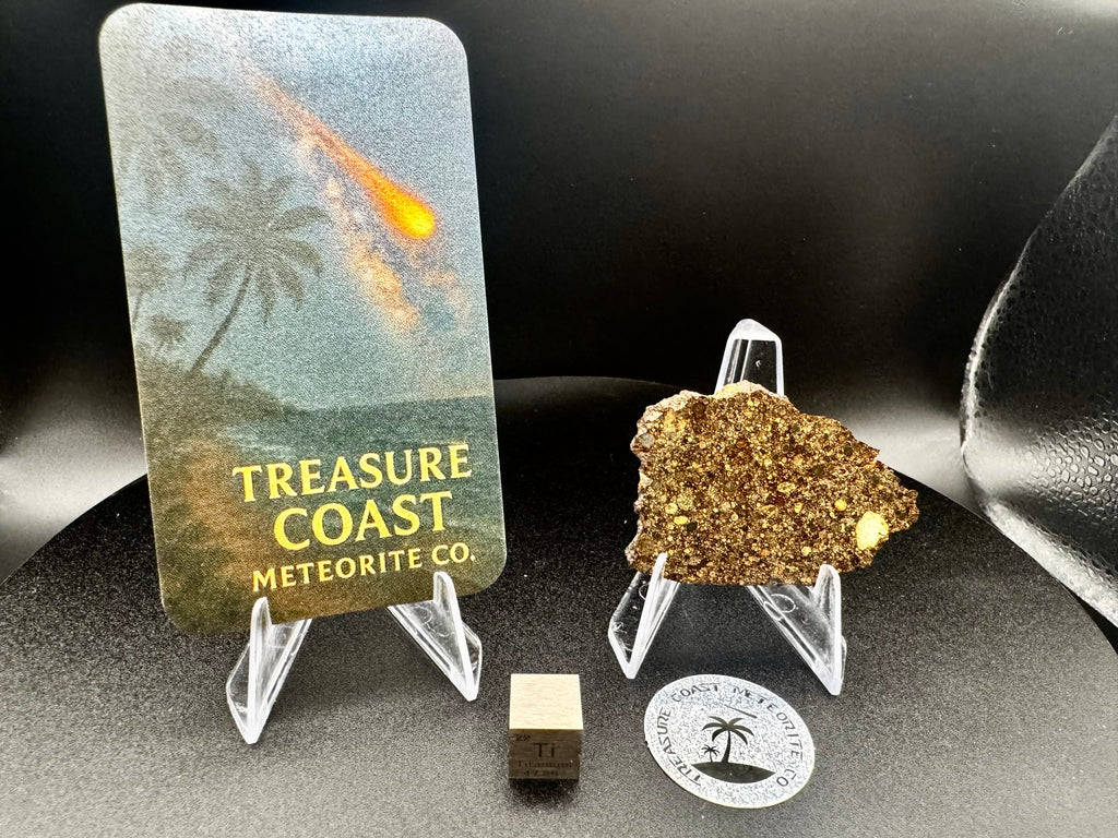 Display photo of NWA 17364 LL3.10 chondrite end cut with Treasure Coast Meteorite Co. specimen card showing fusion crust - 13.34g