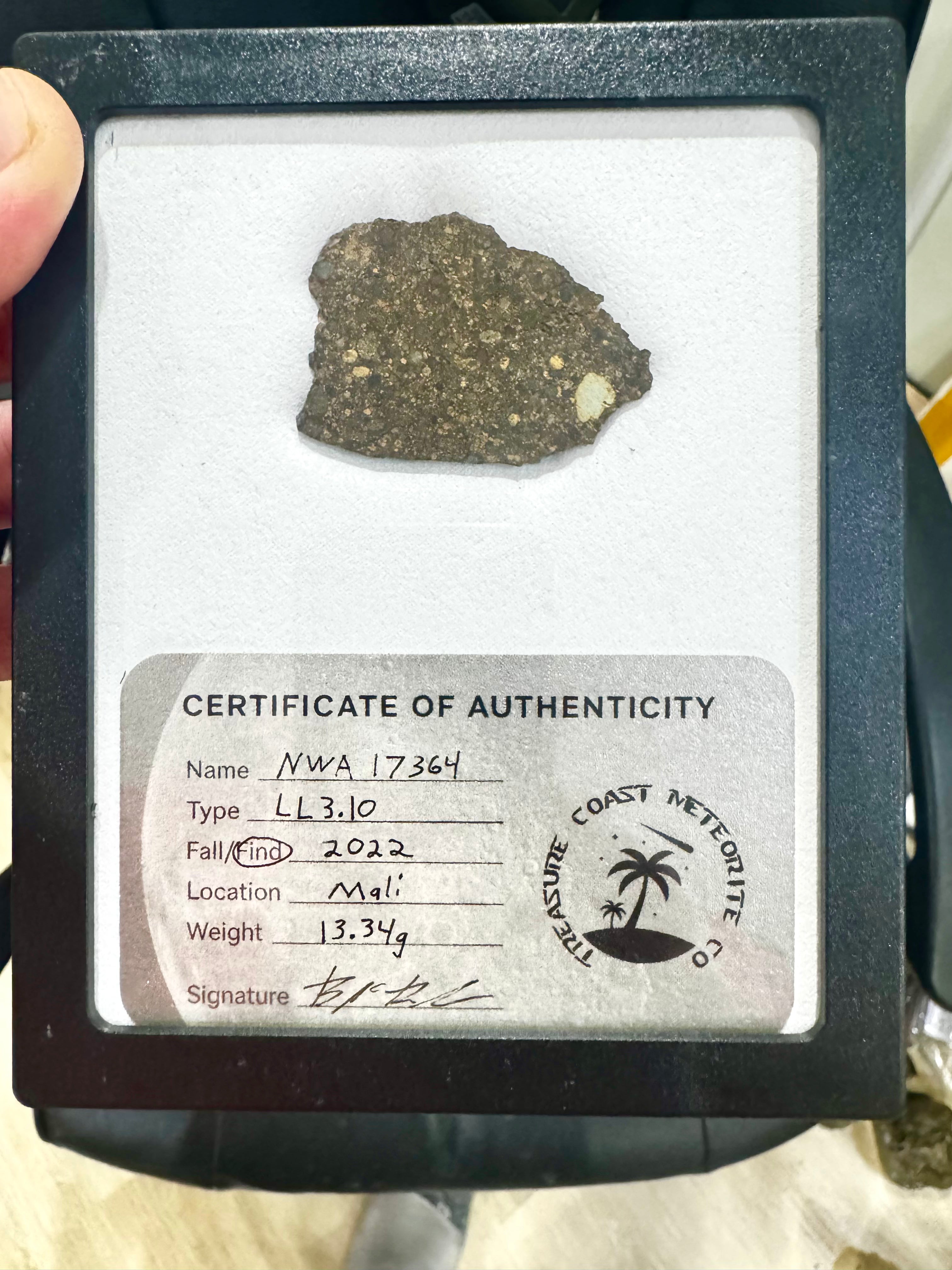 Display photo of NWA 17364 LL3.10 chondrite end cut in display case with certificate of authenticity - 13.34g