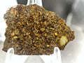 Display photo of NWA 17364 LL3.10 ordinary chondrite end cut showing fusion crust and chondritic interior - 13.34g