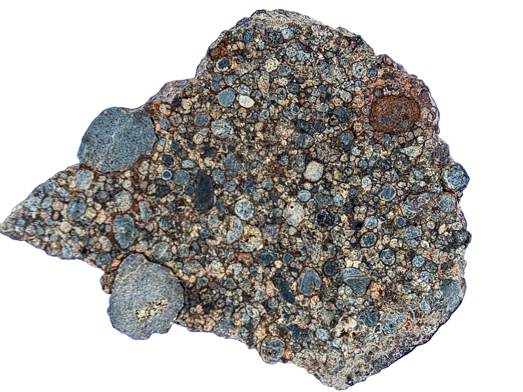 Hero photo of NWA 17364 LL3.10 ordinary chondrite end cut showing cut face profile in gem box, 3.25g