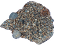 Hero photo of NWA 17364 LL3.10 ordinary chondrite end cut showing cut face profile in gem box, 3.25g