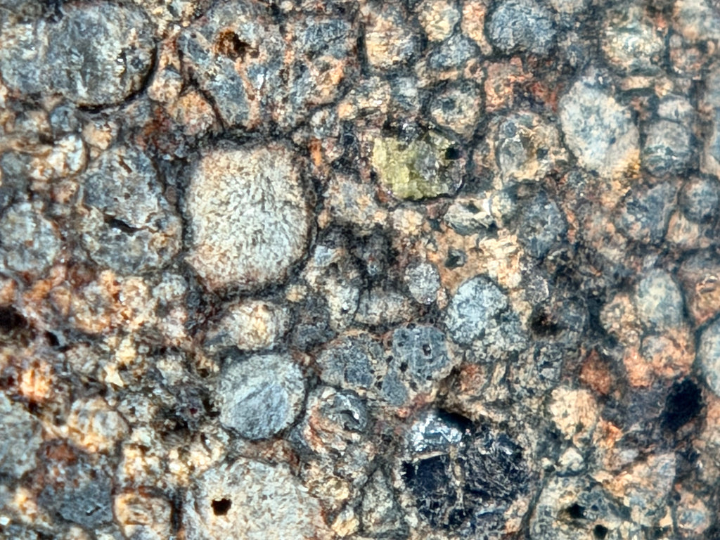 Detail photo of NWA 17364 LL3.10 ordinary chondrite end cut showing full cut surface with chondrule textures and cut quality, 3.25g
