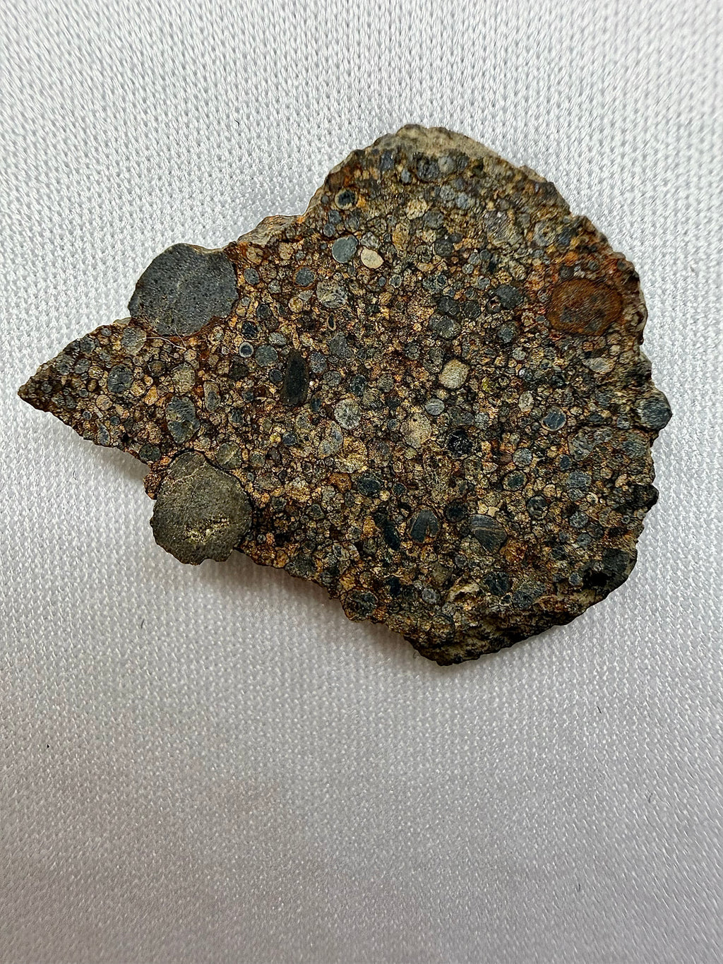 Natural surface photo of NWA 17364 LL3.10 ordinary chondrite end cut showing chondrule distribution and low metamorphic grade textures, 3.25g