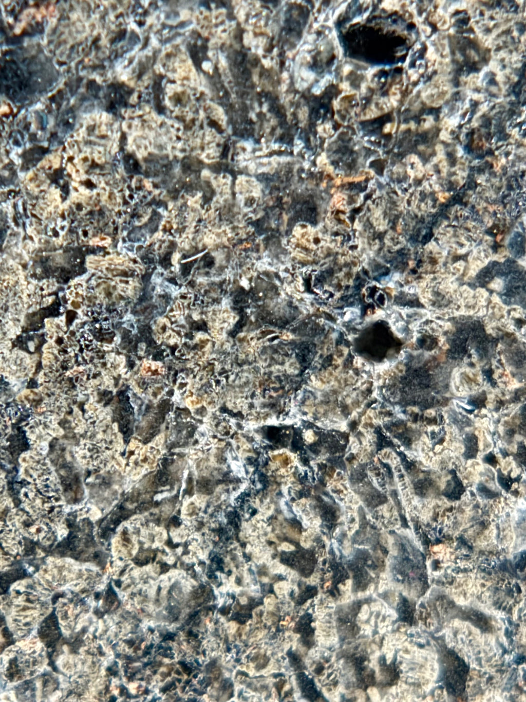 NWA 17472 Martian meteorite 65.00g -- pyroxene crystals preserved within basaltic igneous assemblage