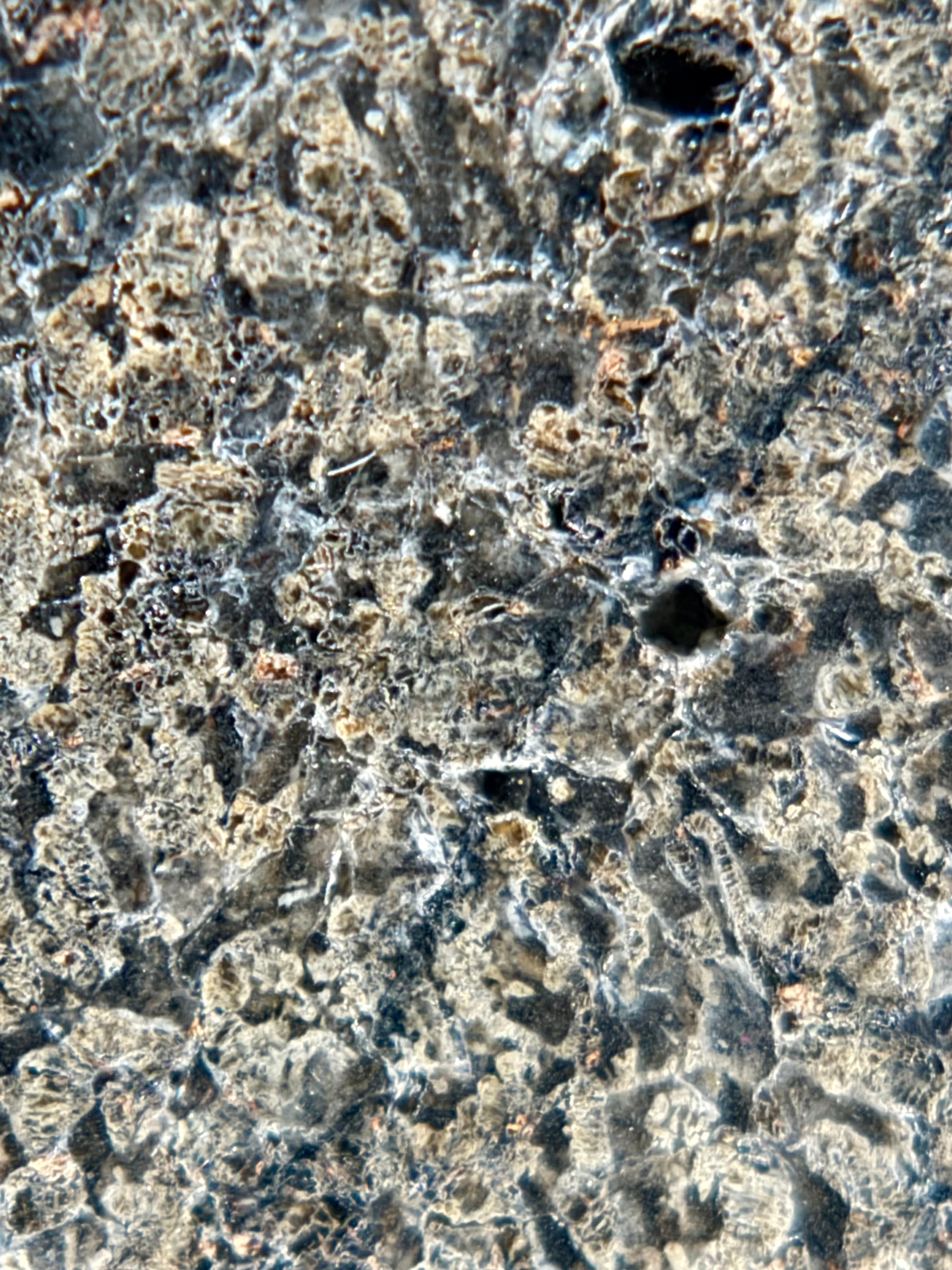 NWA 17472 Martian meteorite 65.00g -- pyroxene crystals preserved within basaltic igneous assemblage