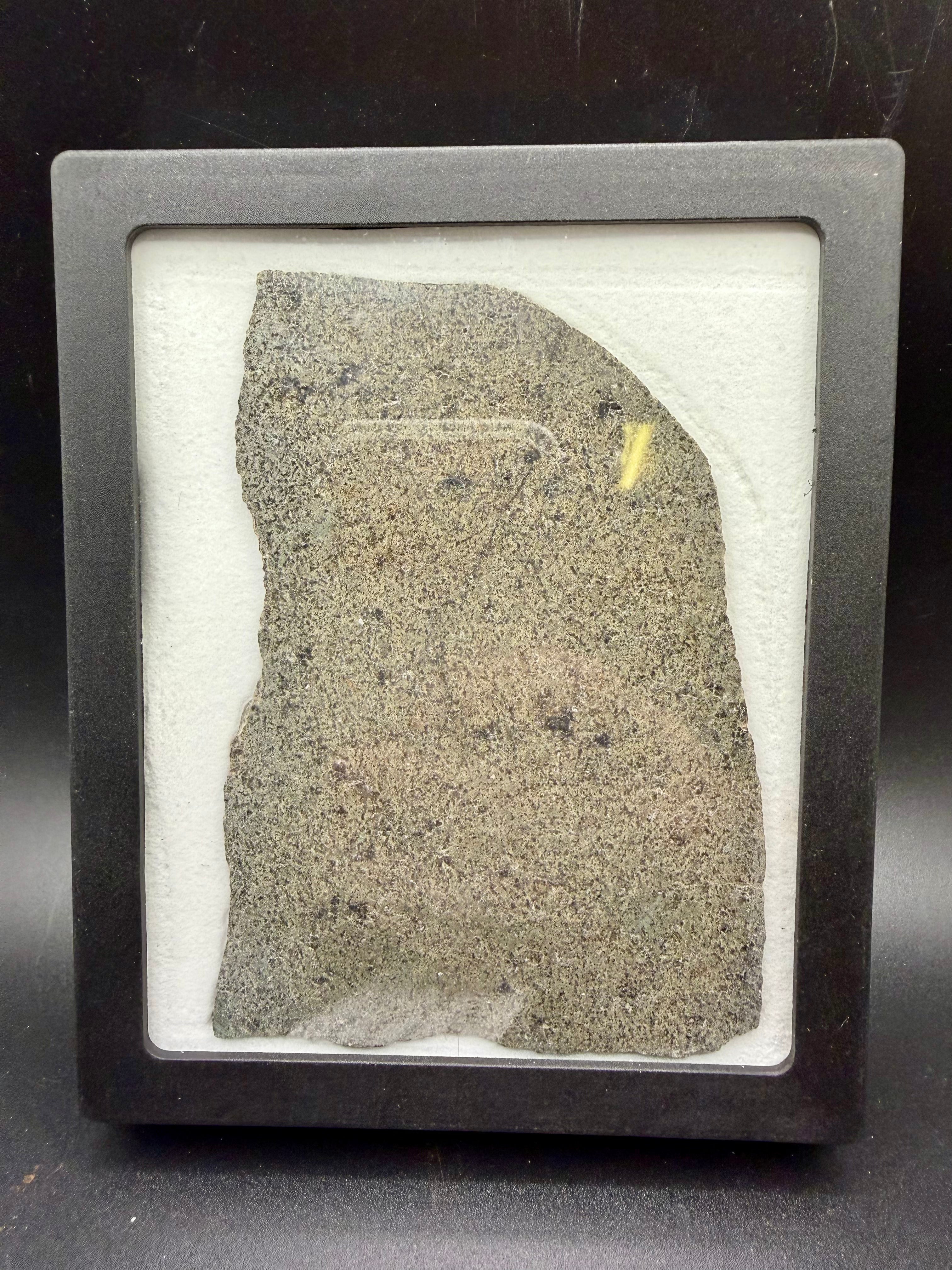 NWA 17472 slice 65.00g -- edge detail of shock-transformed feldspar and igneous texture contrast