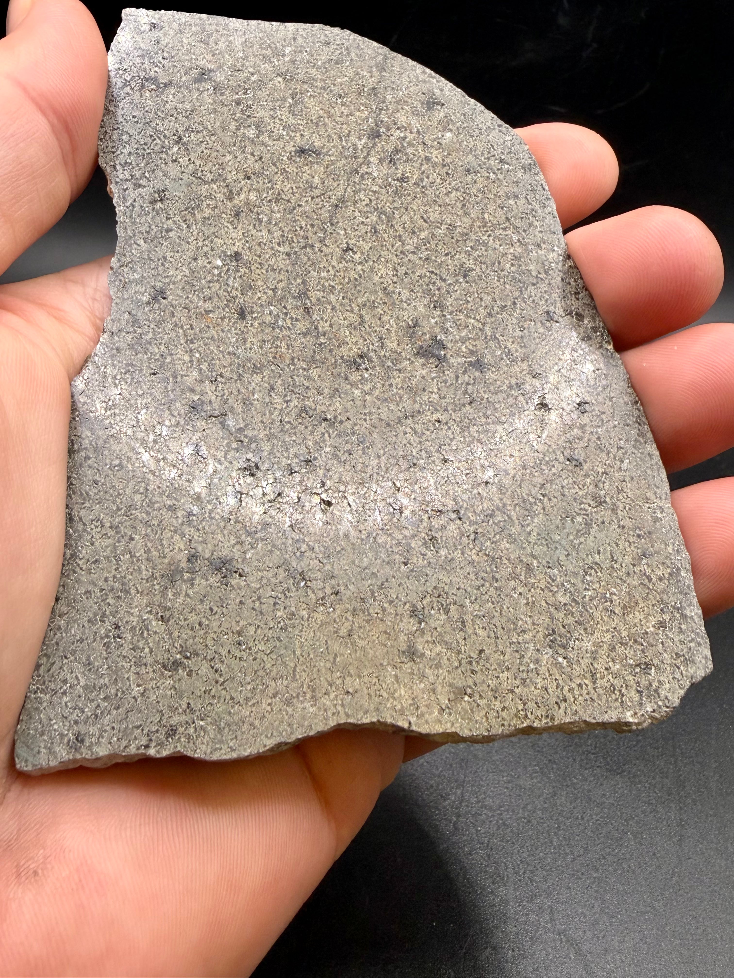 NWA 17472 Martian meteorite slice in hand showing size and polish