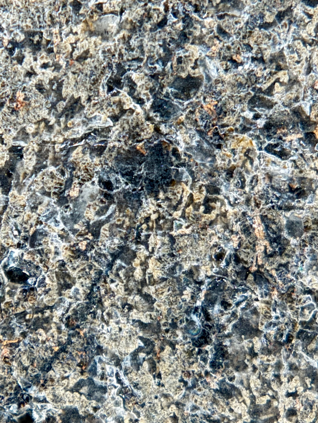 NWA 17472 shergottite 65.00g -- textural boundaries between crystalline and shock-altered mineral phases