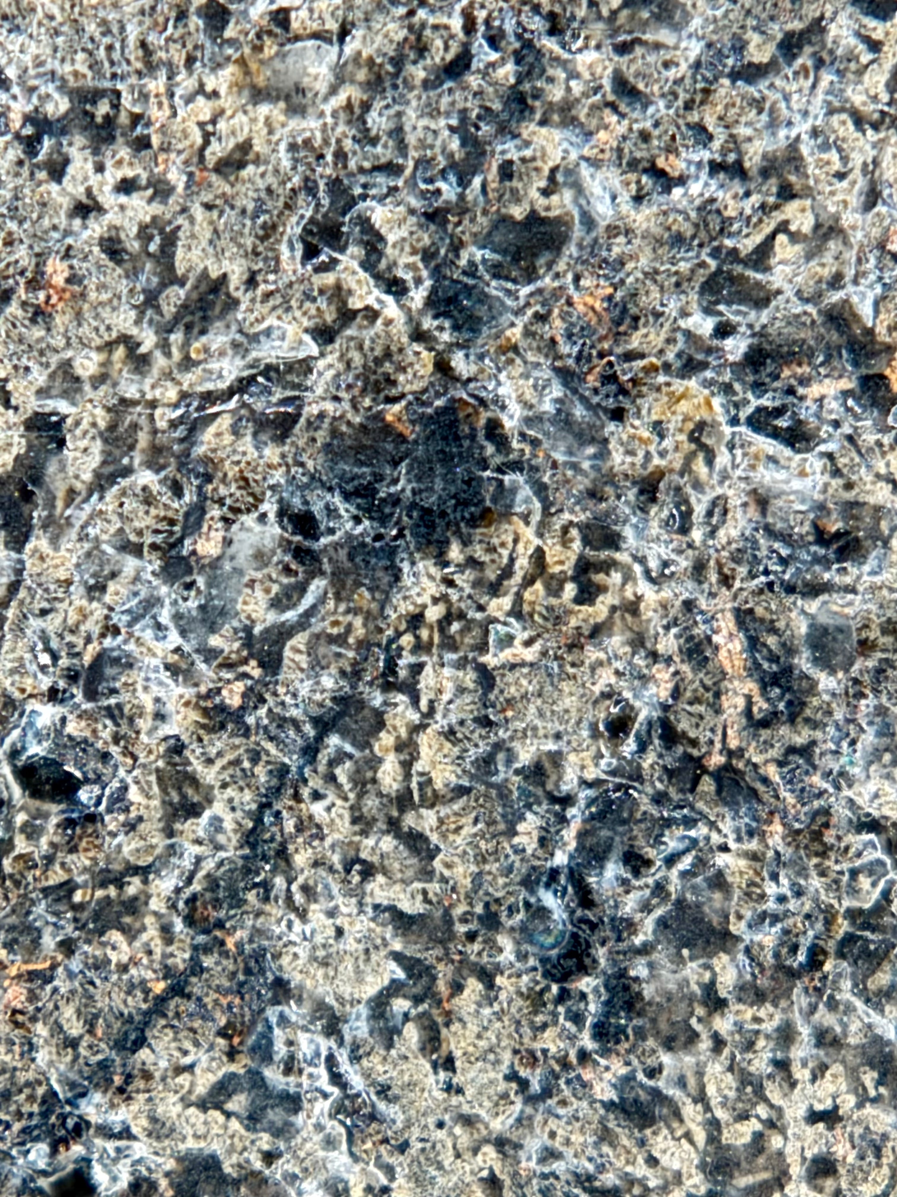 NWA 17472 shergottite 65.00g -- textural boundaries between crystalline and shock-altered mineral phases