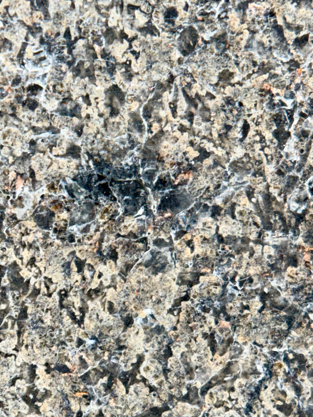 NWA 17472 slice 65.00g -- reflective maskelynite shock glass under direct lighting