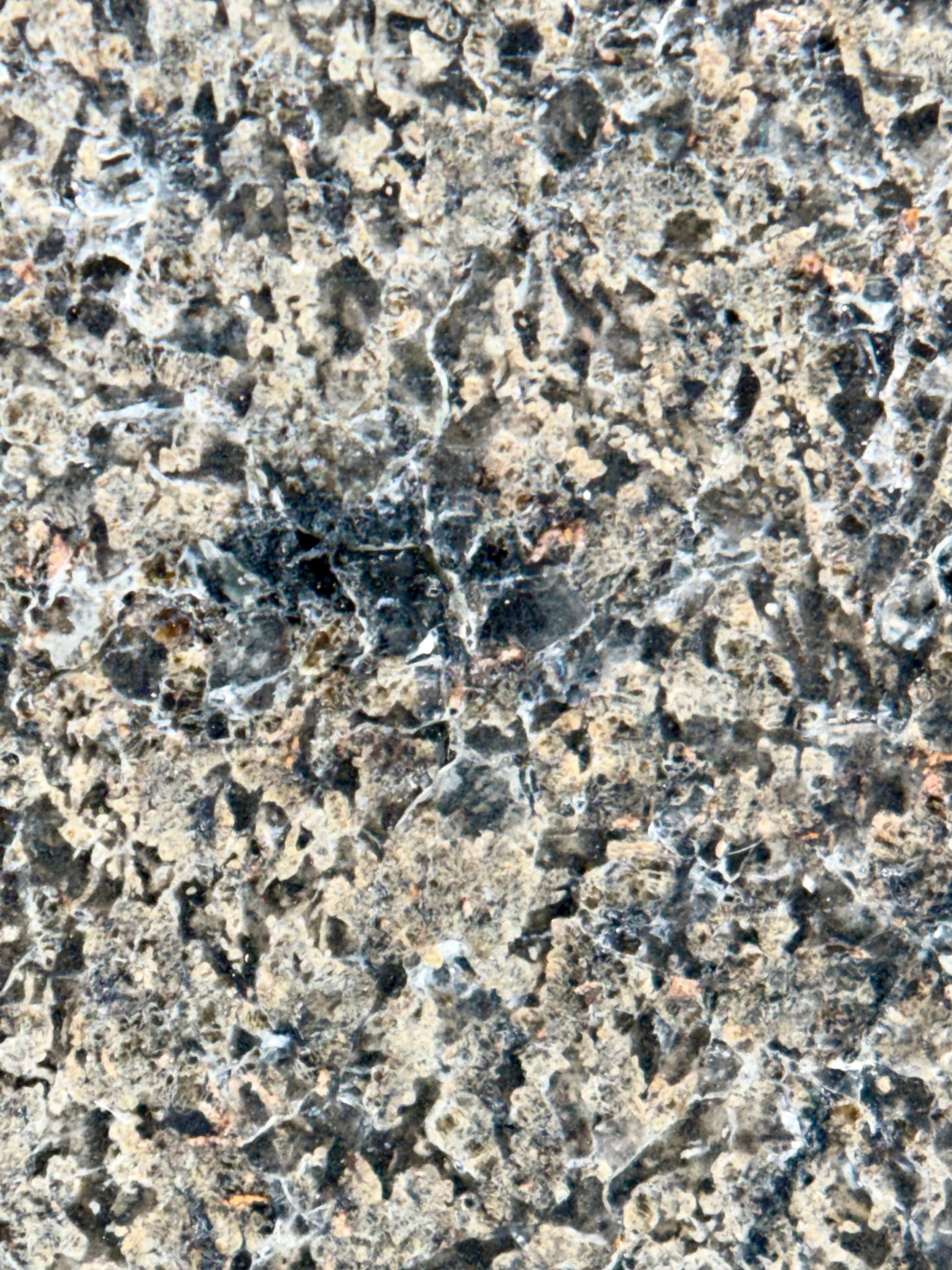 NWA 17472 slice 65.00g -- reflective maskelynite shock glass under direct lighting