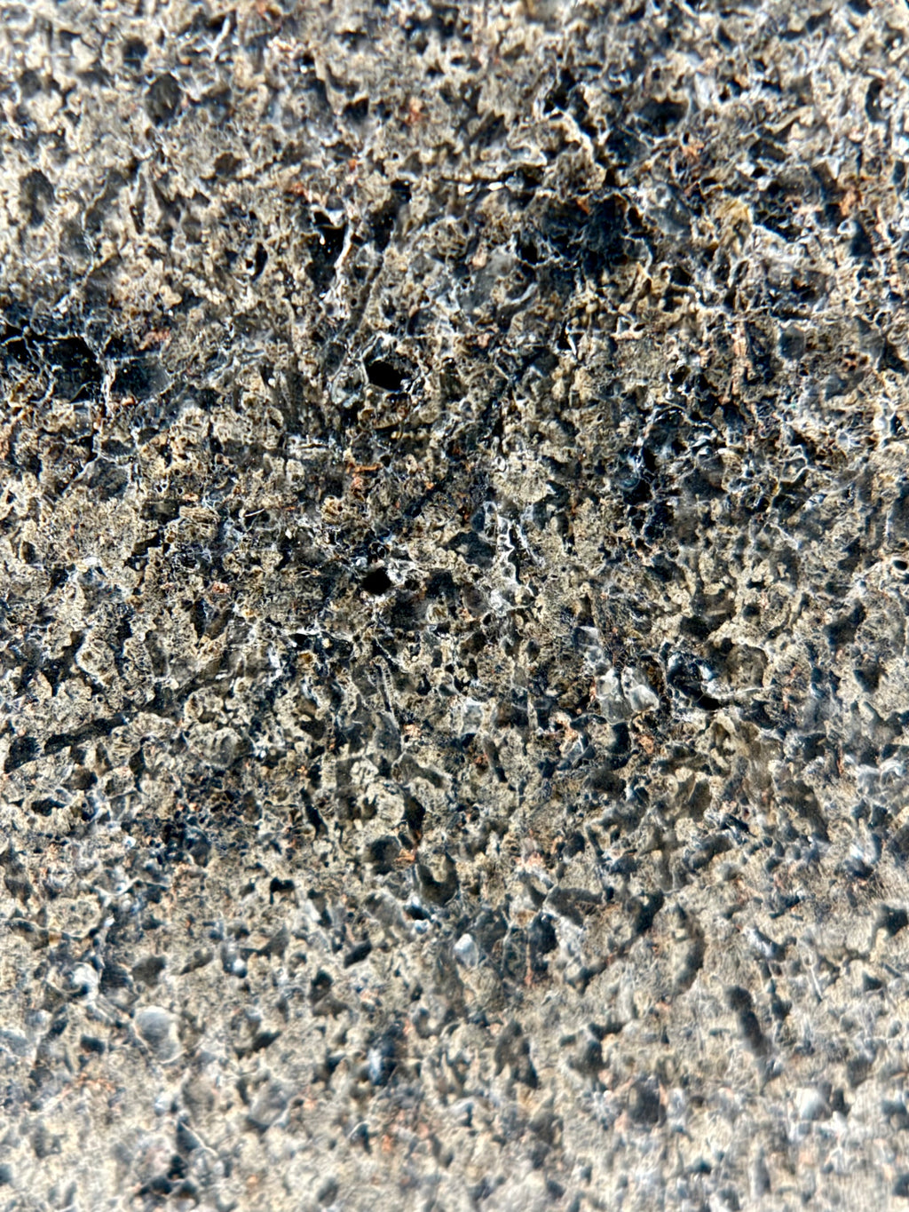NWA 17472 Martian meteorite 65.00g -- full width of slice showing shock metamorphism distribution