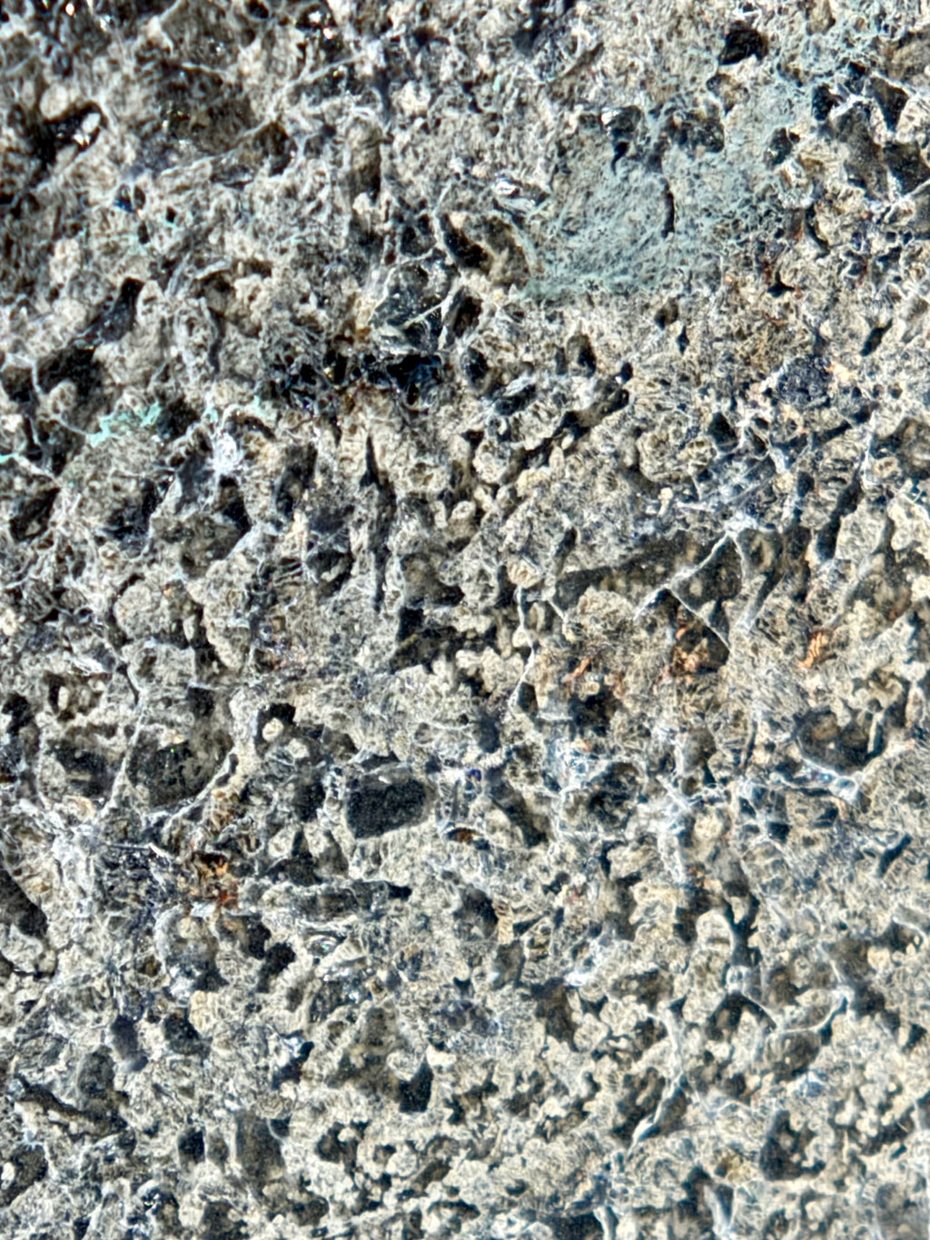 NWA 17472 shergottite 65.00g -- dark basaltic matrix hosting bright maskelynite glass zones