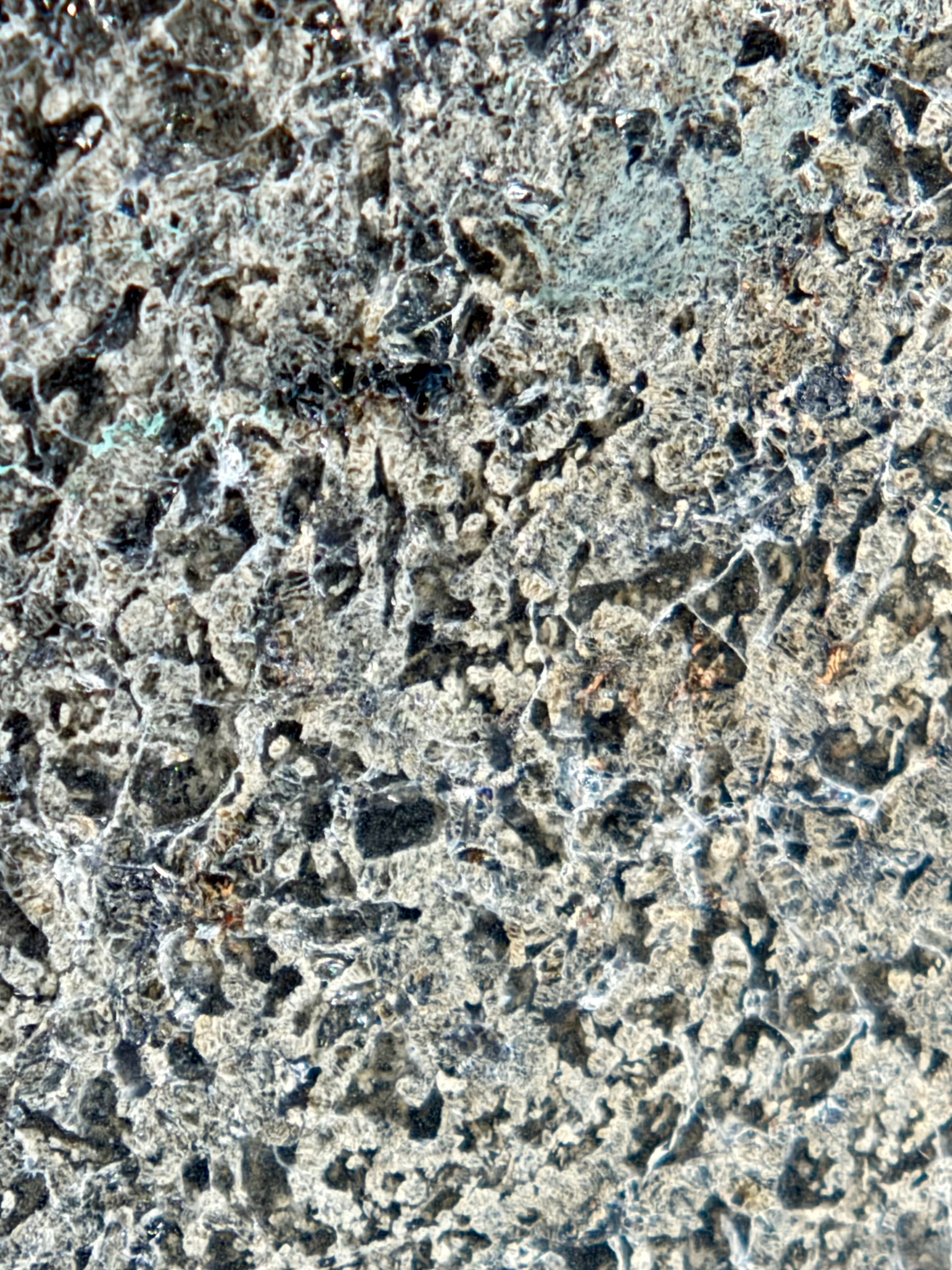 NWA 17472 shergottite 65.00g -- dark basaltic matrix hosting bright maskelynite glass zones
