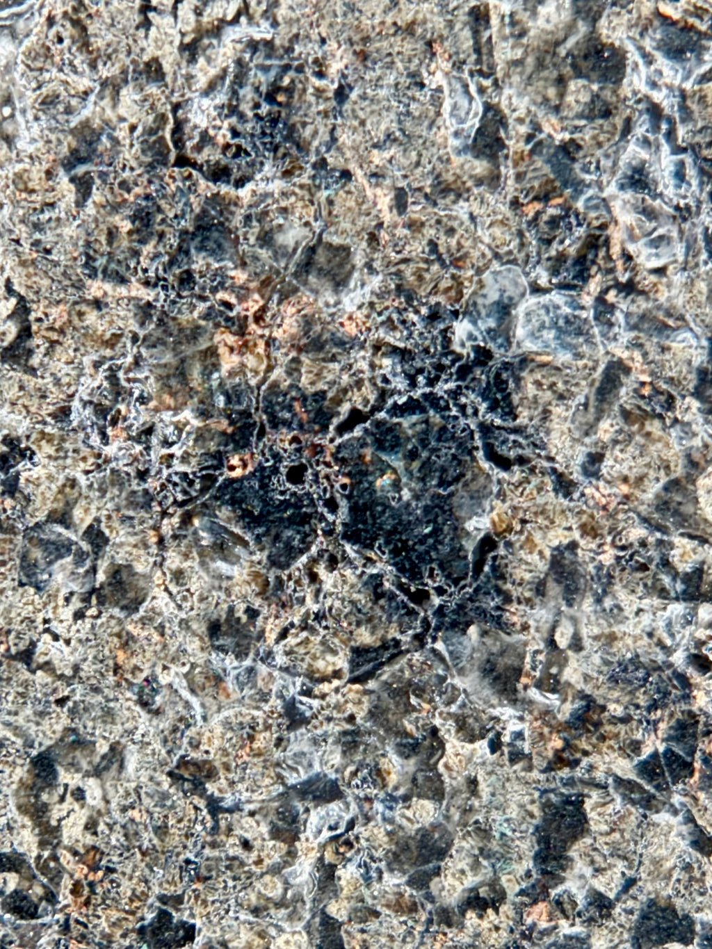 NWA 17472 slice 65.00g -- polished surface revealing extent of maskelynite shock transformation