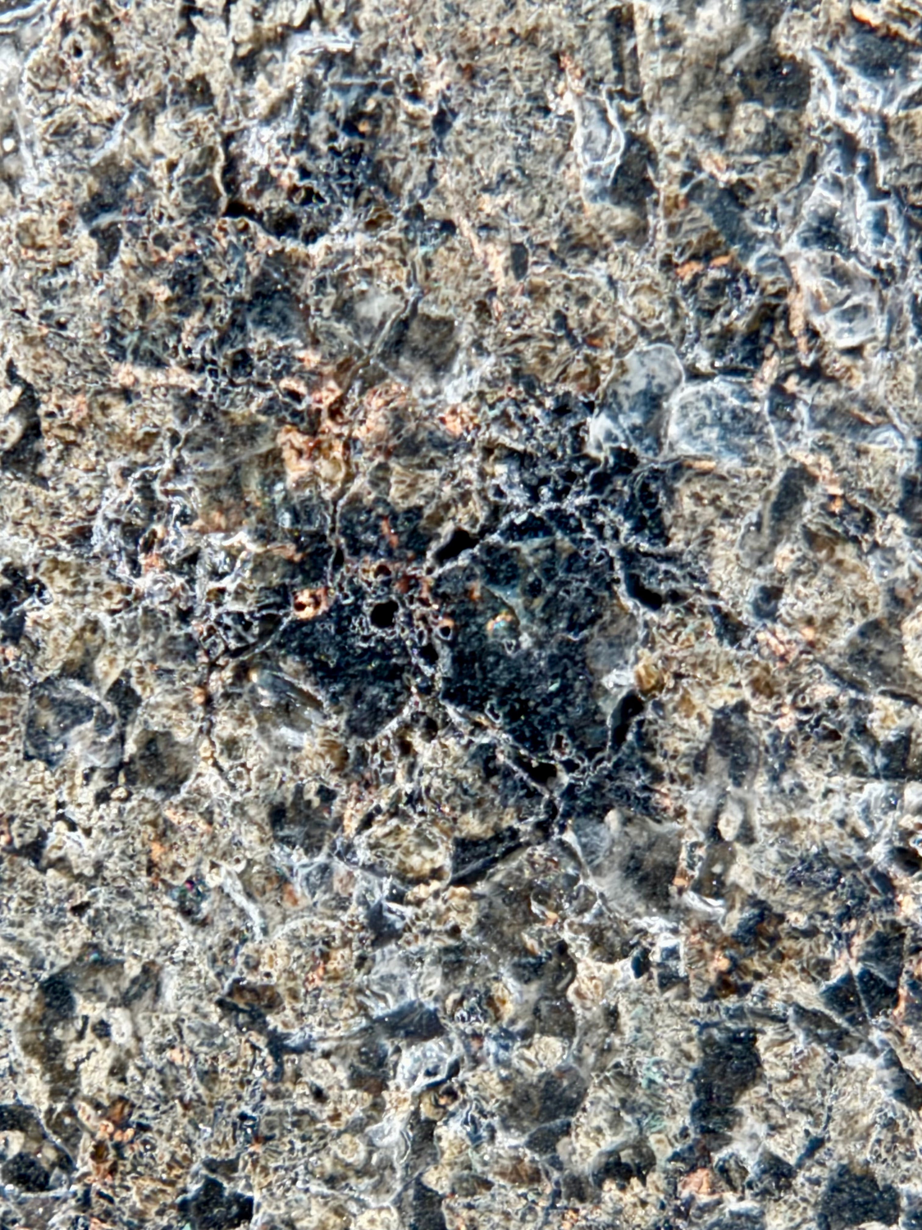 NWA 17472 slice 65.00g -- polished surface revealing extent of maskelynite shock transformation