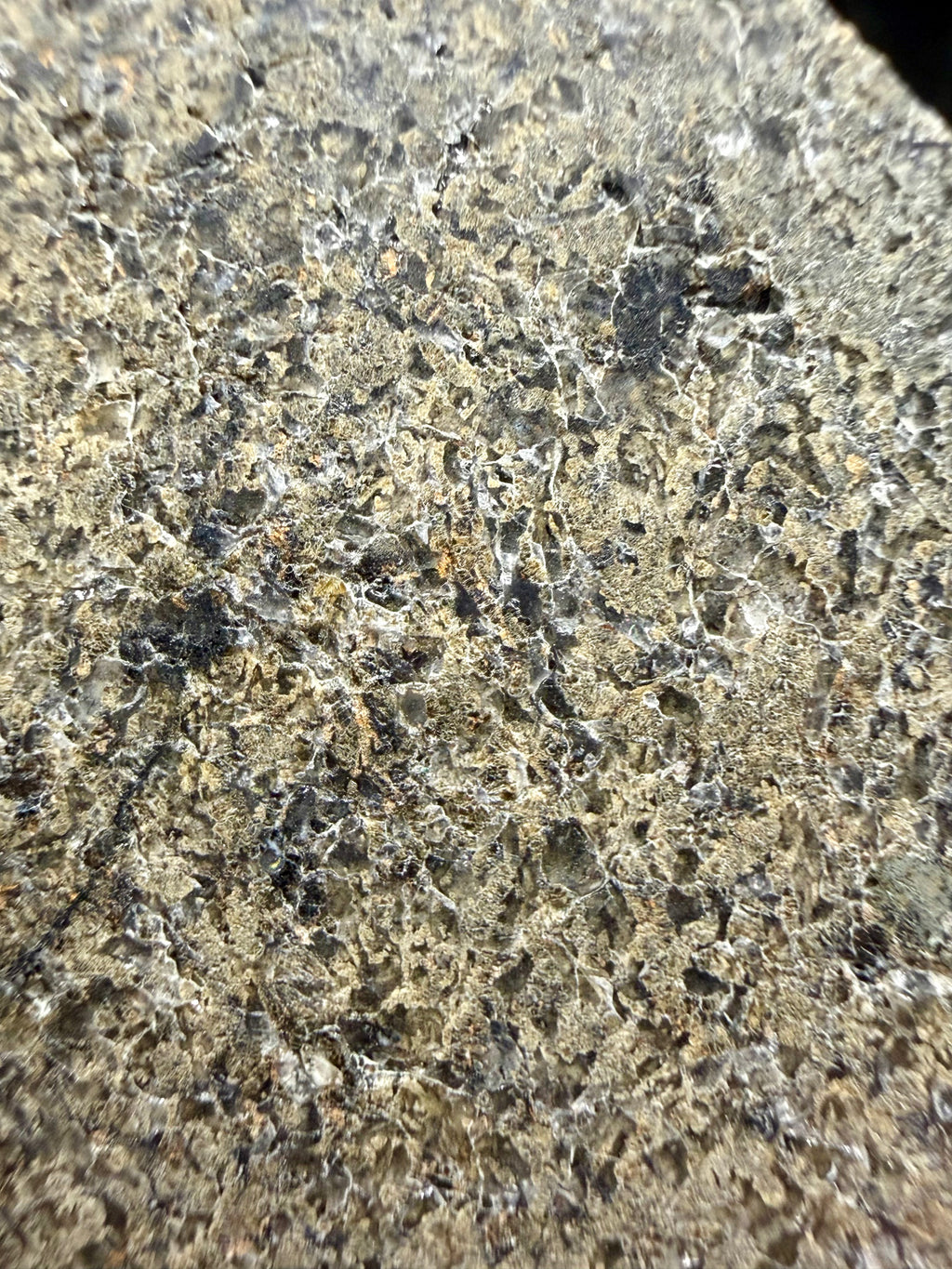 Macro view of NWA 17472 Martian basaltic shergottite meteorite showing pyroxene crystals in maskelynite matrix, 65g