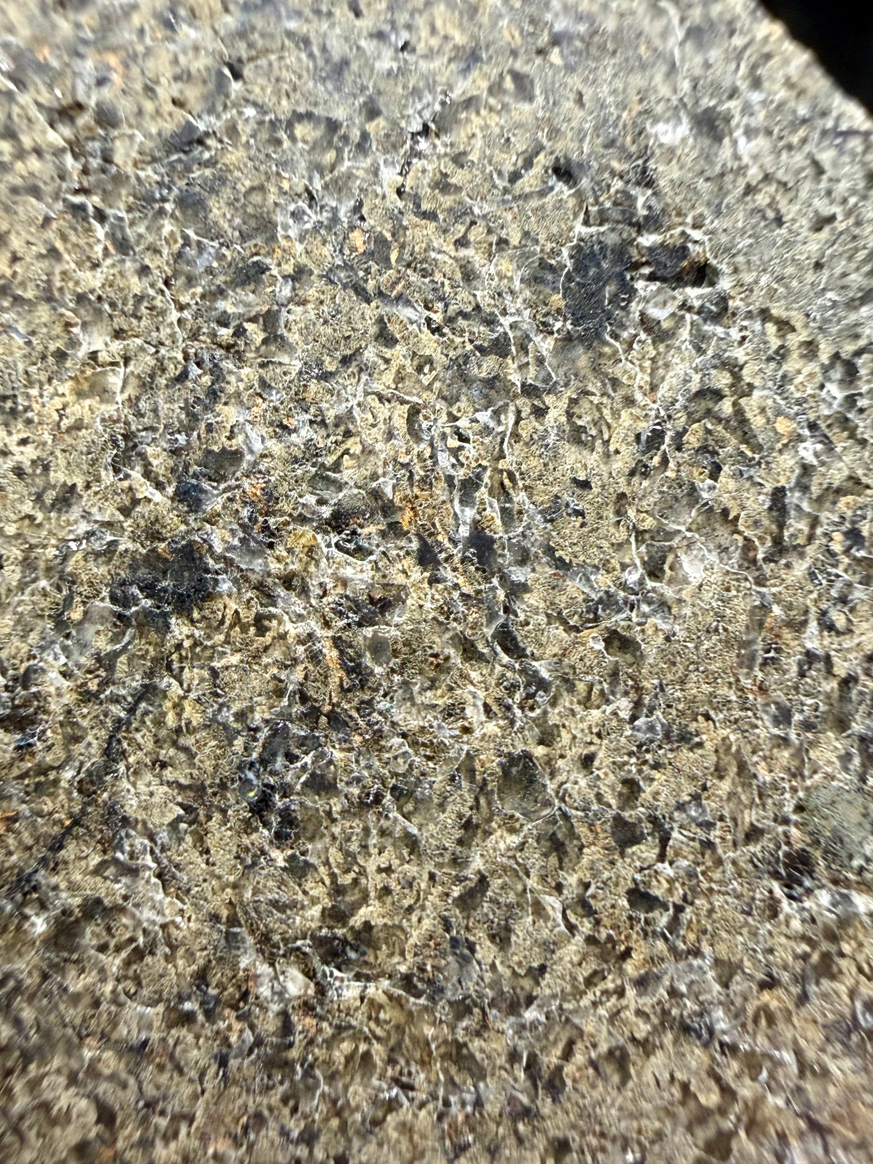 Macro view of NWA 17472 Martian basaltic shergottite meteorite showing pyroxene crystals in maskelynite matrix, 65g