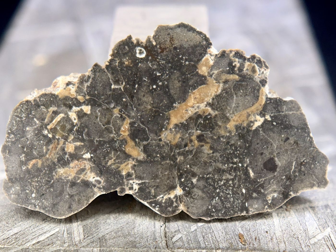 NWA 17706 lunar meteorite slice, 1.06g, broad cut face of troctolitic anorthosite melt breccia with tan veins threading a dark gray matrix