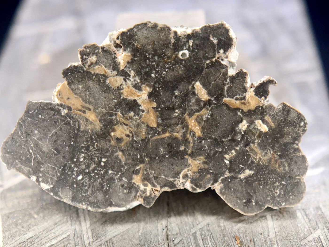 NWA 17706 lunar meteorite slice, 1.39g, irregular troctolitic anorthosite melt breccia with light clasts and tan veining
