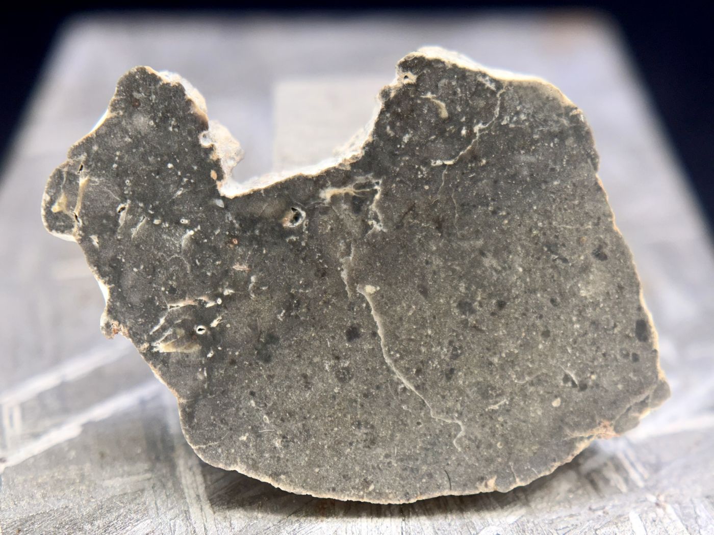 NWA 17706 lunar meteorite slice, 1.60g, smooth gray cut face of troctolitic anorthosite melt breccia with fine speckling