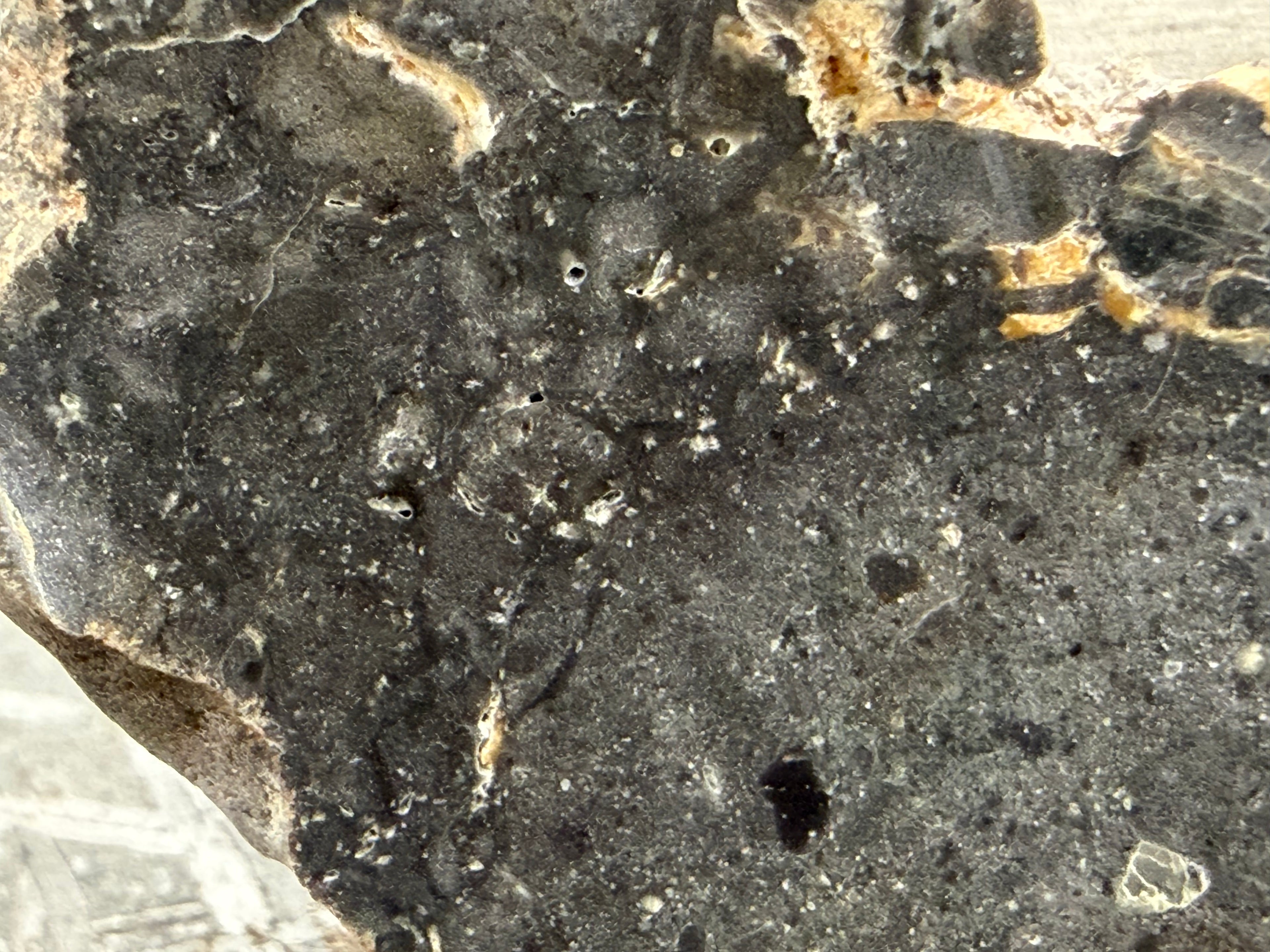 NWA 17706 lunar meteorite macro detail showing breccia clast distribution and interstitial melt texture near specimen edge