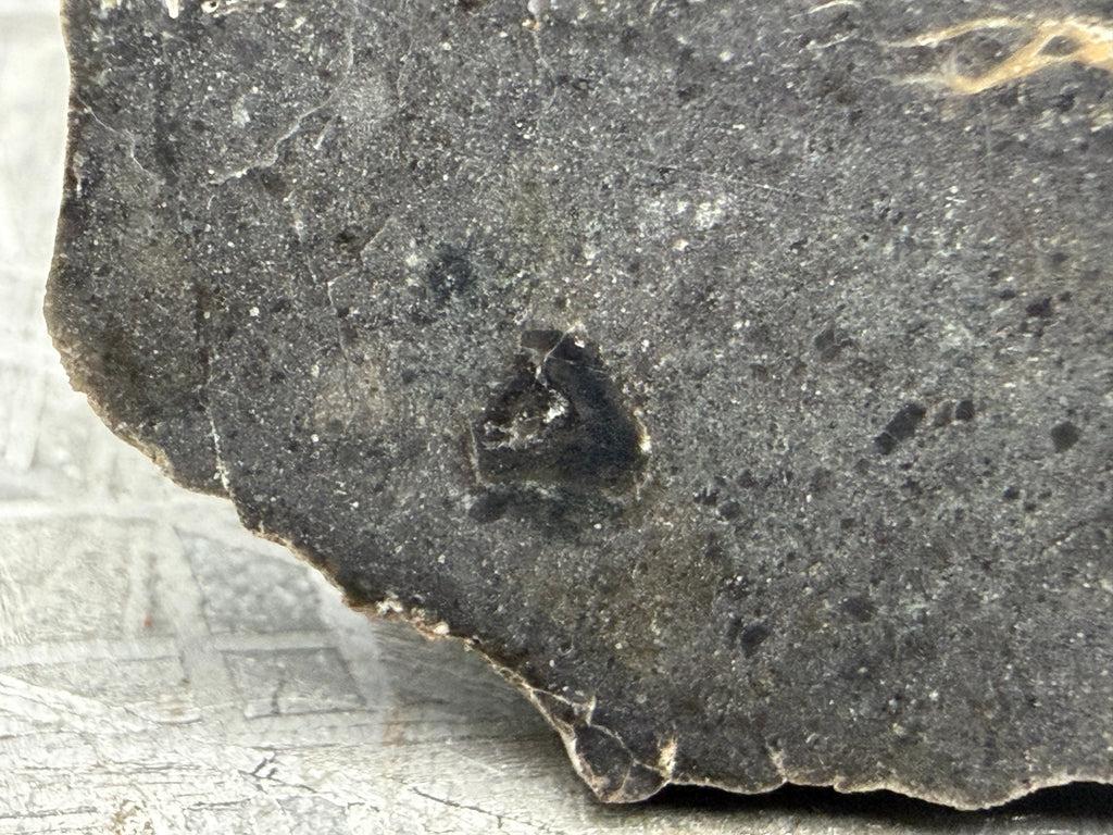 NWA 17706 lunar meteorite macro detail showing dark lithic clast in gray troctolitic anorthosite melt breccia matrix
