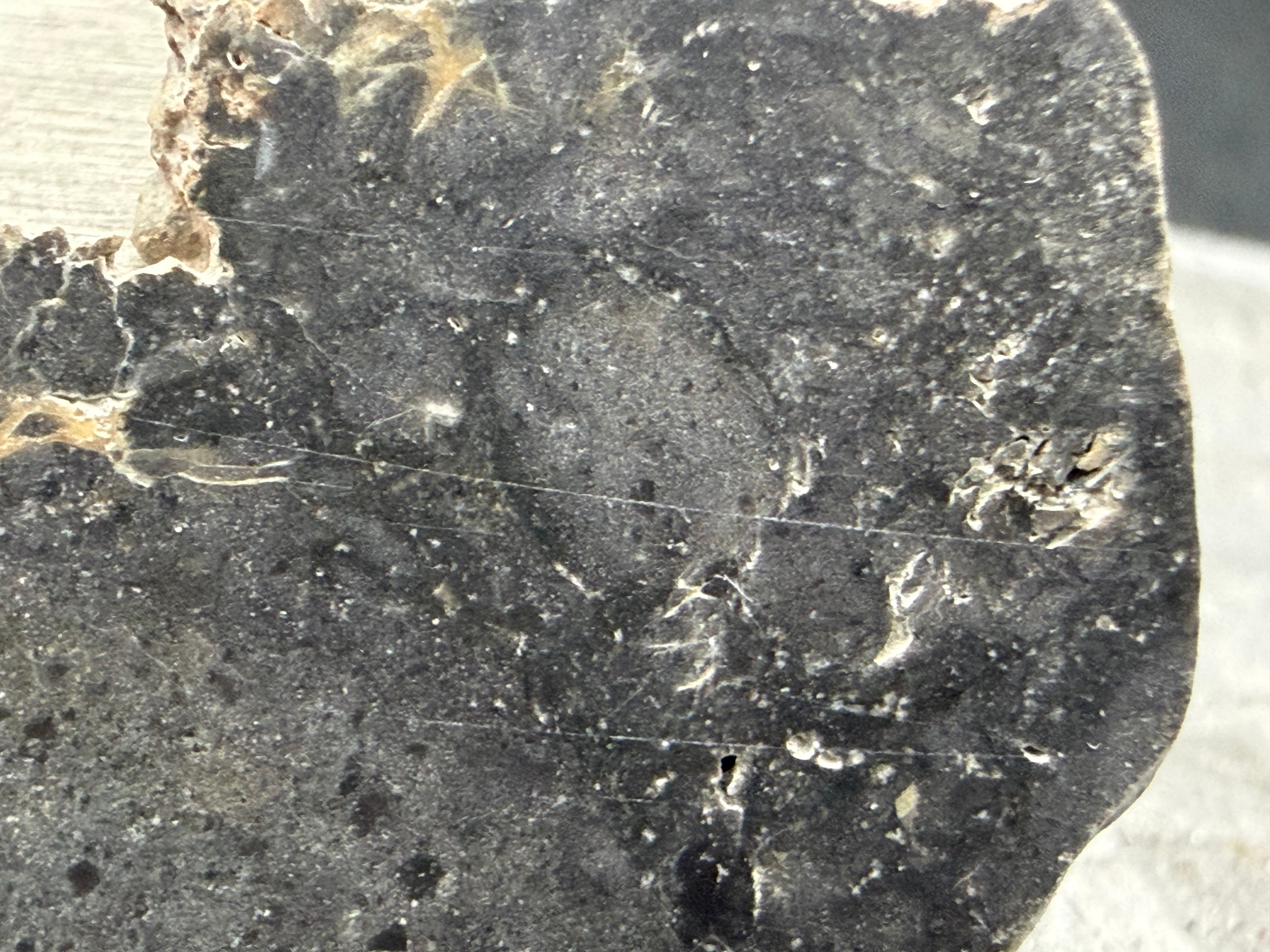 NWA 17706 lunar meteorite macro detail showing plagioclase microvein network across melt breccia cut face