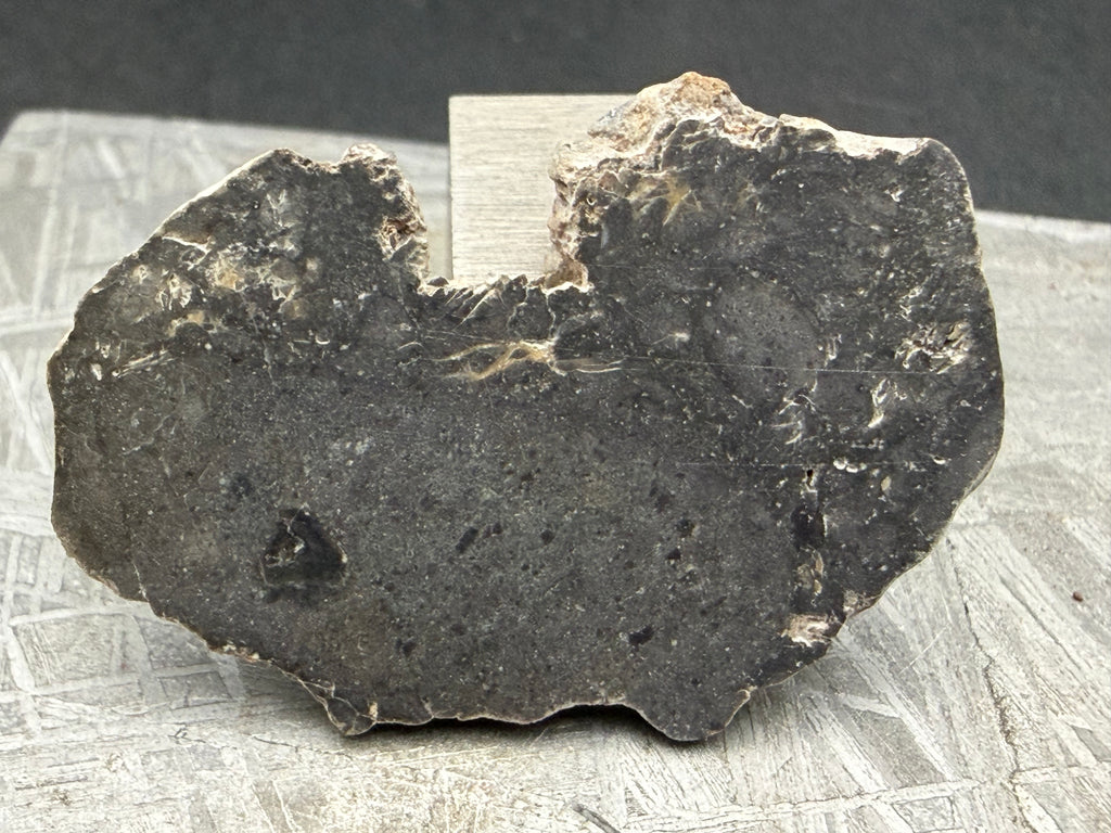 NWA 17706 lunar meteorite full slice obverse showing gray melt breccia matrix with plagioclase veining and cortex edge